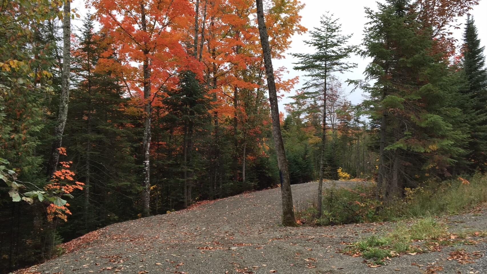 878 Stream Road Moscow, ME 04920 - Photo 7 of 15 IMG_0383