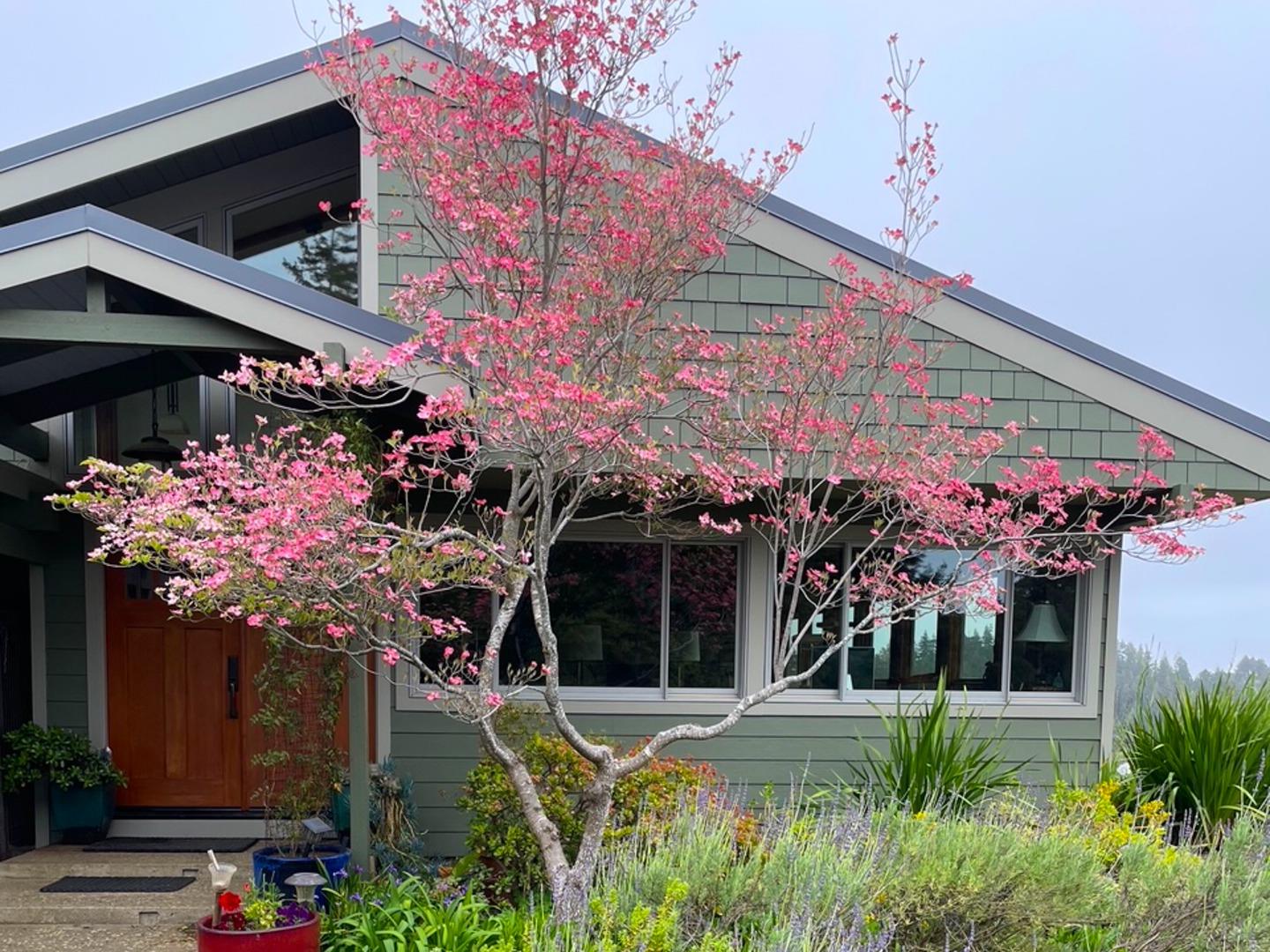 a front view of a house with a yard and a garden
