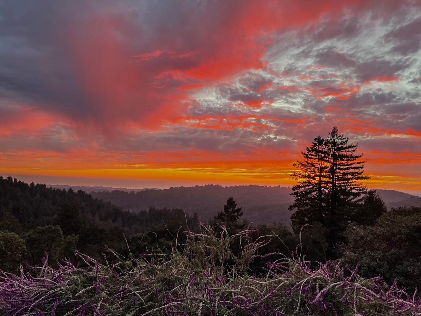 1584 Tindall Ranch Road Corralitos, CA 95076 - Photo 36 of 104 a view of a city with sunset view