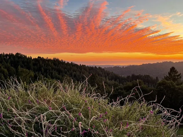 $1,579,000 | 1584 Tindall Ranch Road, Corralitos, CA 95076