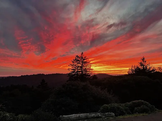 $1,579,000 | 1584 Tindall Ranch Road, Corralitos, CA 95076