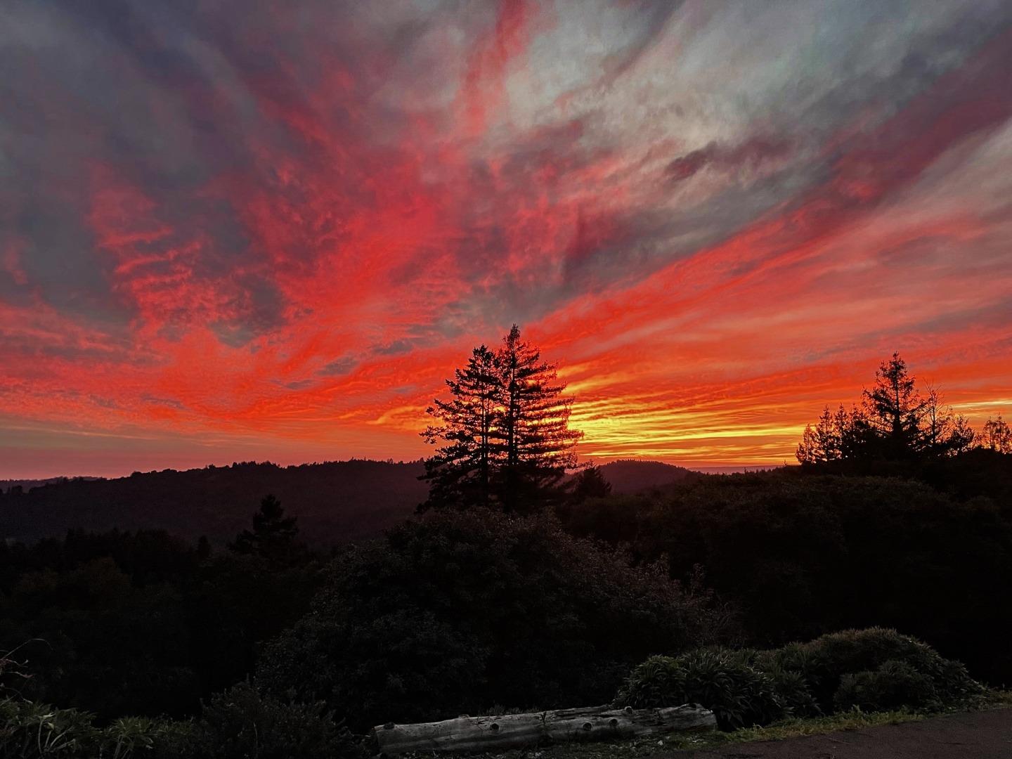 1584 Tindall Ranch Road Corralitos, CA 95076 - Photo 62 of 104 a view of ocean with green space