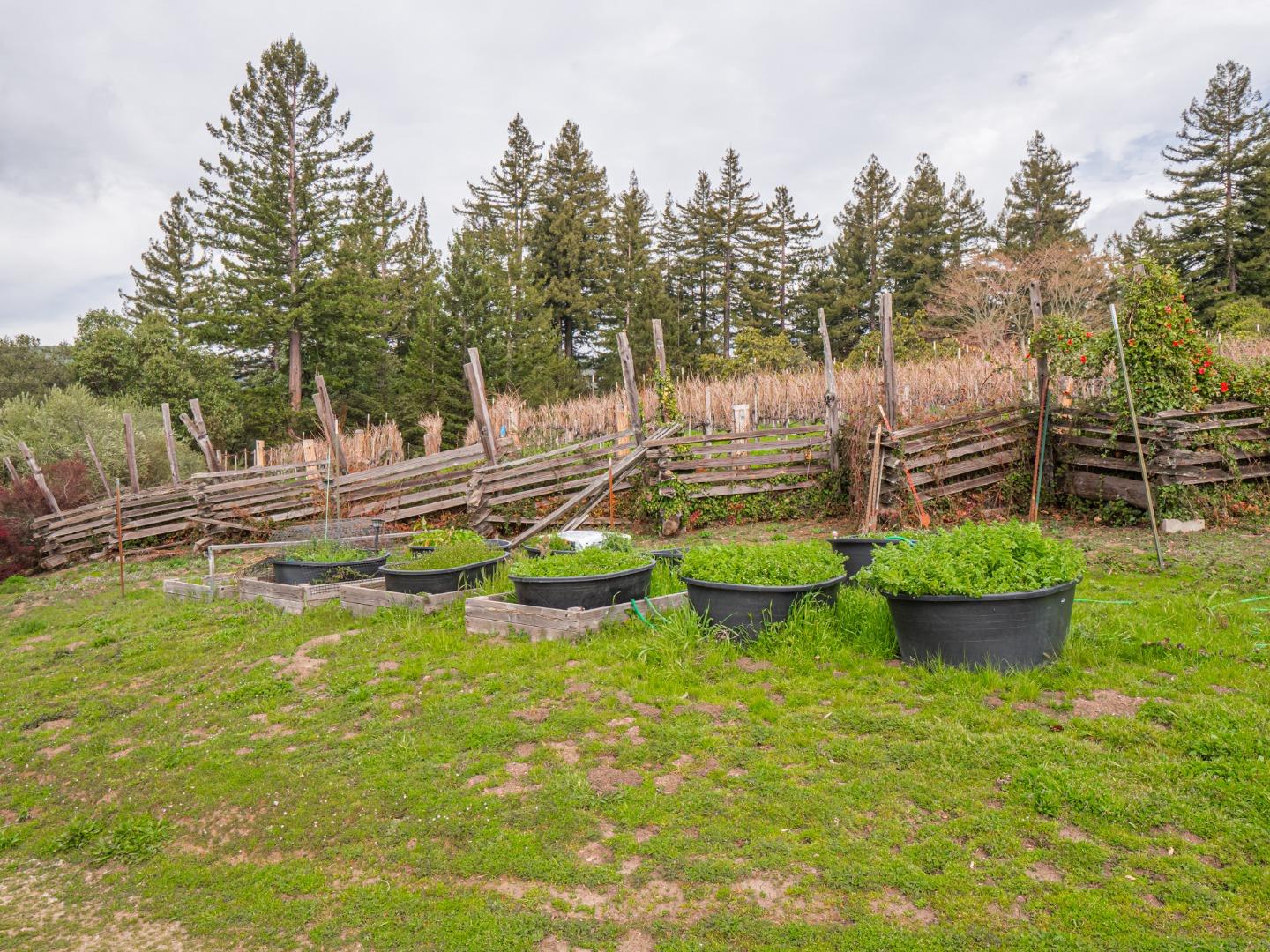 1584 Tindall Ranch Road Corralitos, CA 95076 - Photo 98 of 104