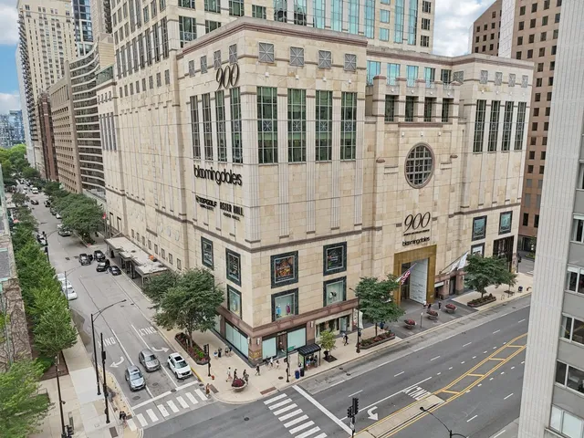 $1,195,000 | 132 East Delaware Place, Unit 4803, Chicago, IL 60611