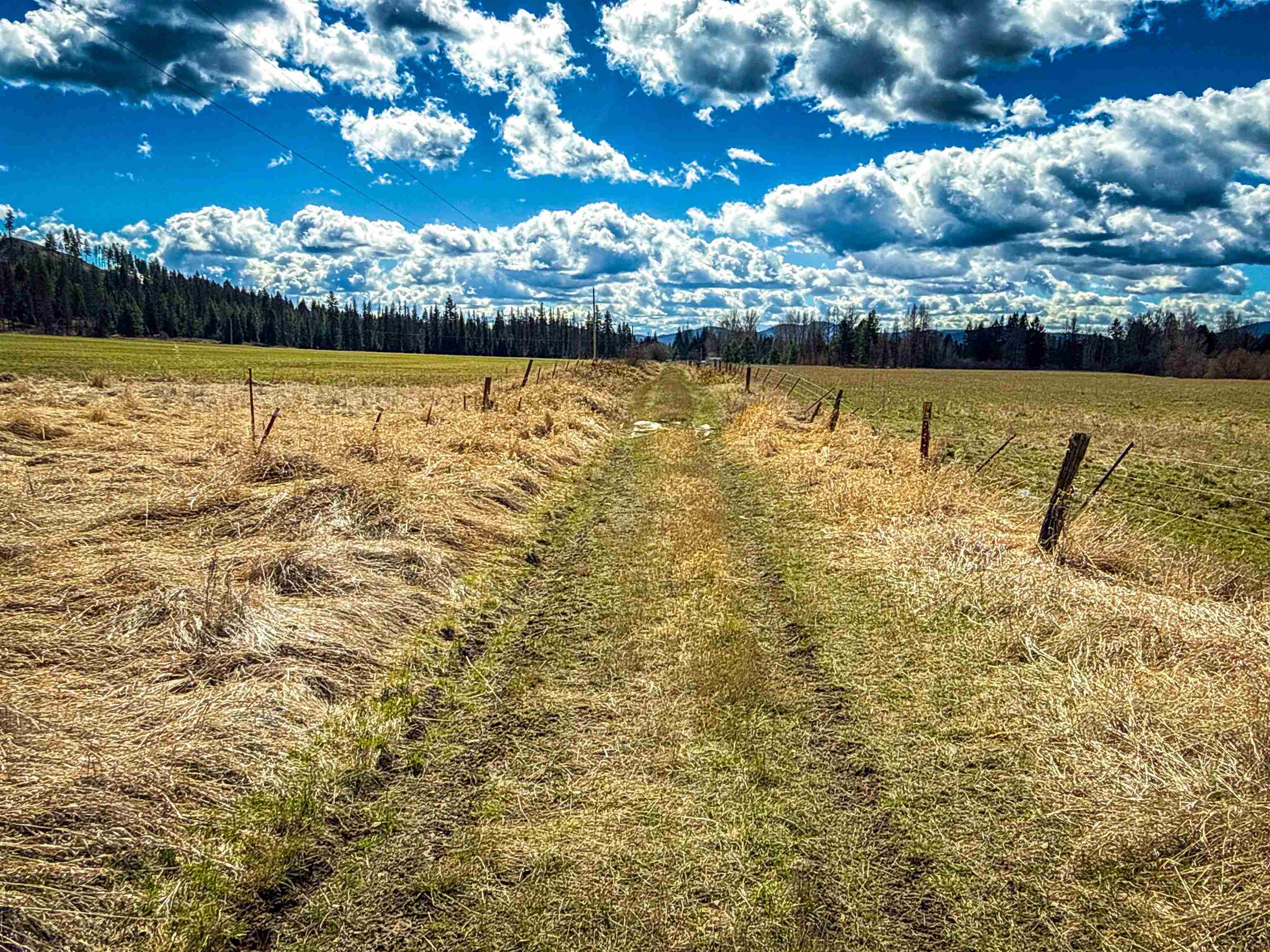 Nka Frissell Road Usk, WA 99180 - Photo 11 of 38