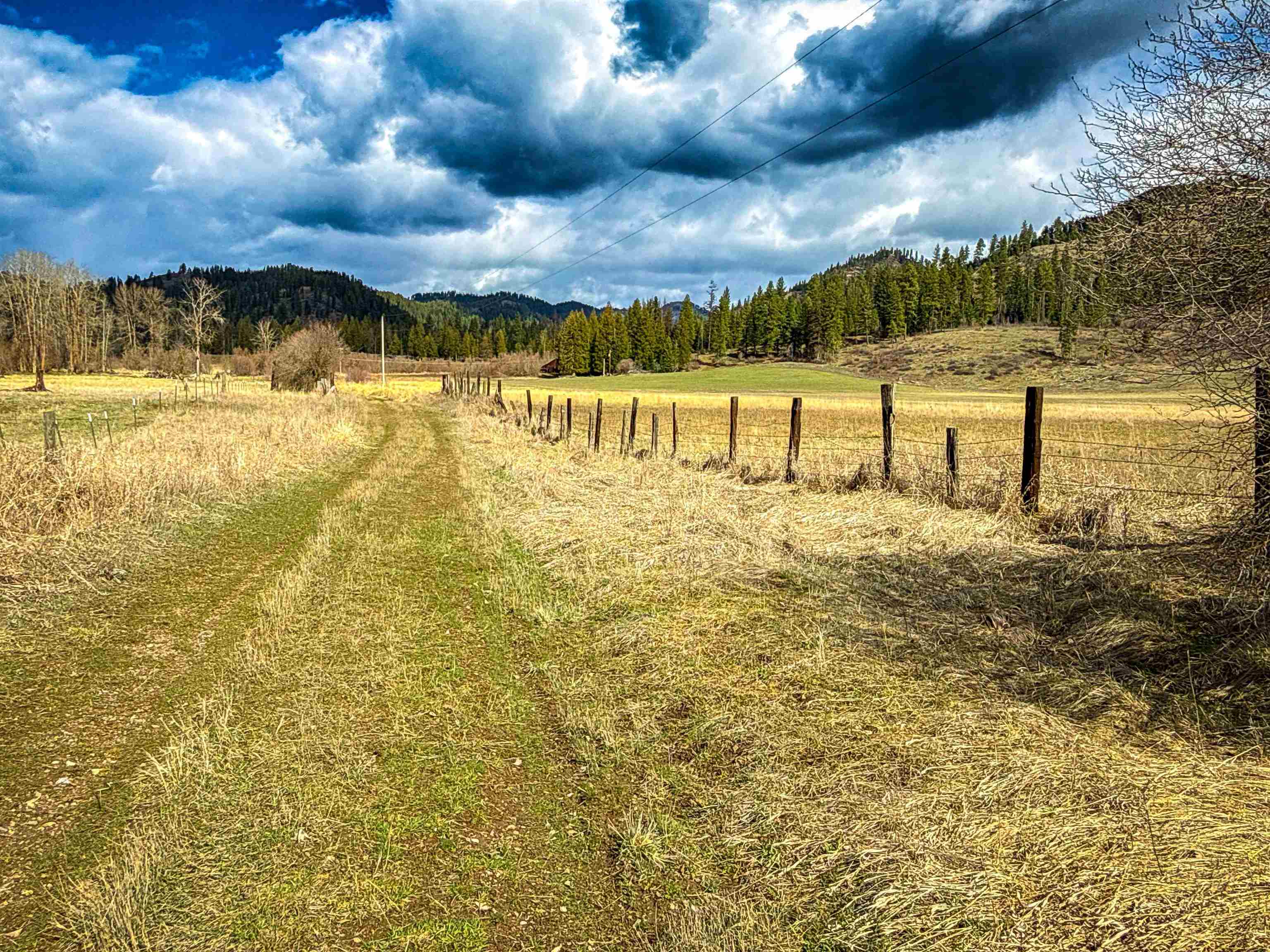 Nka Frissell Road Usk, WA 99180 - Photo 12 of 38