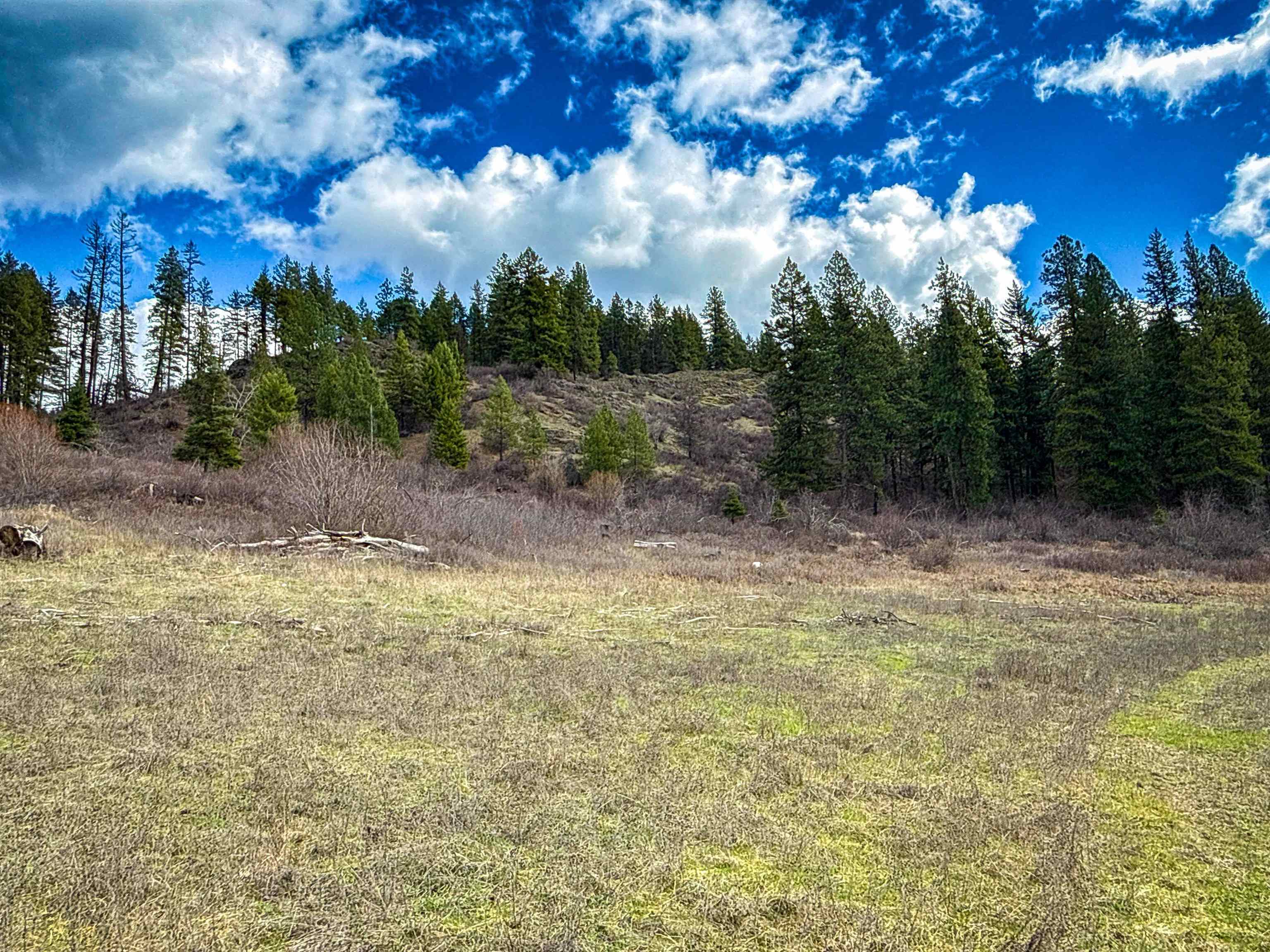 Nka Frissell Road Usk, WA 99180 - Photo 15 of 38