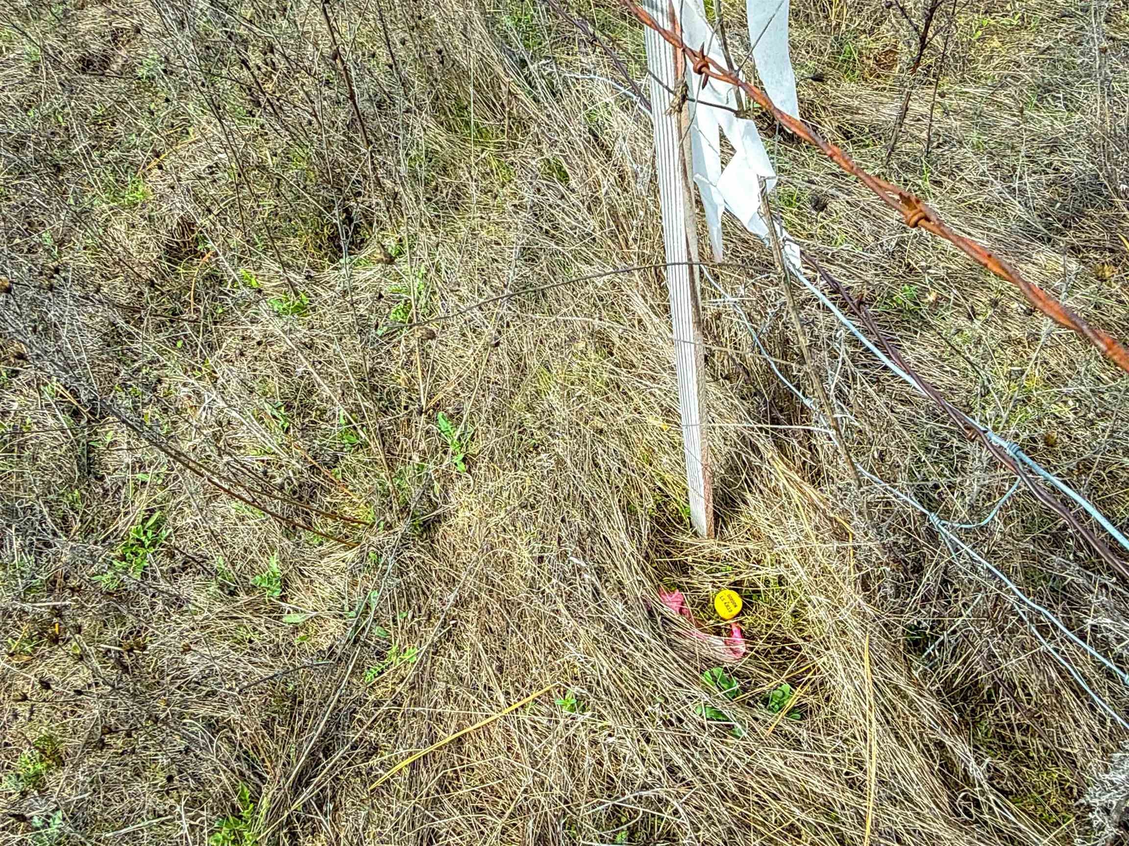 Nka Frissell Road Usk, WA 99180 - Photo 16 of 38