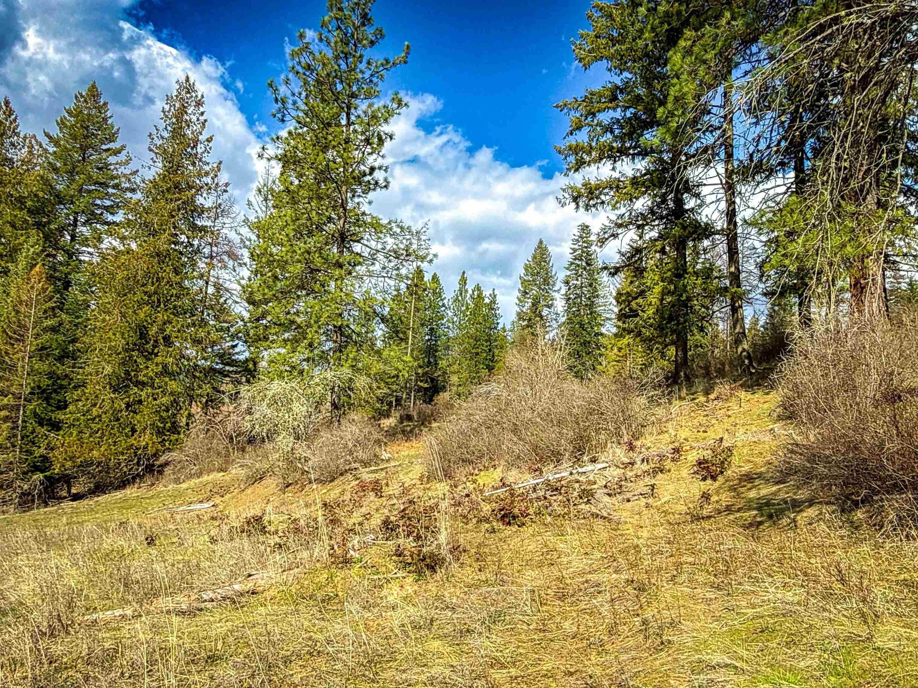 Nka Frissell Road Usk, WA 99180 - Photo 17 of 38