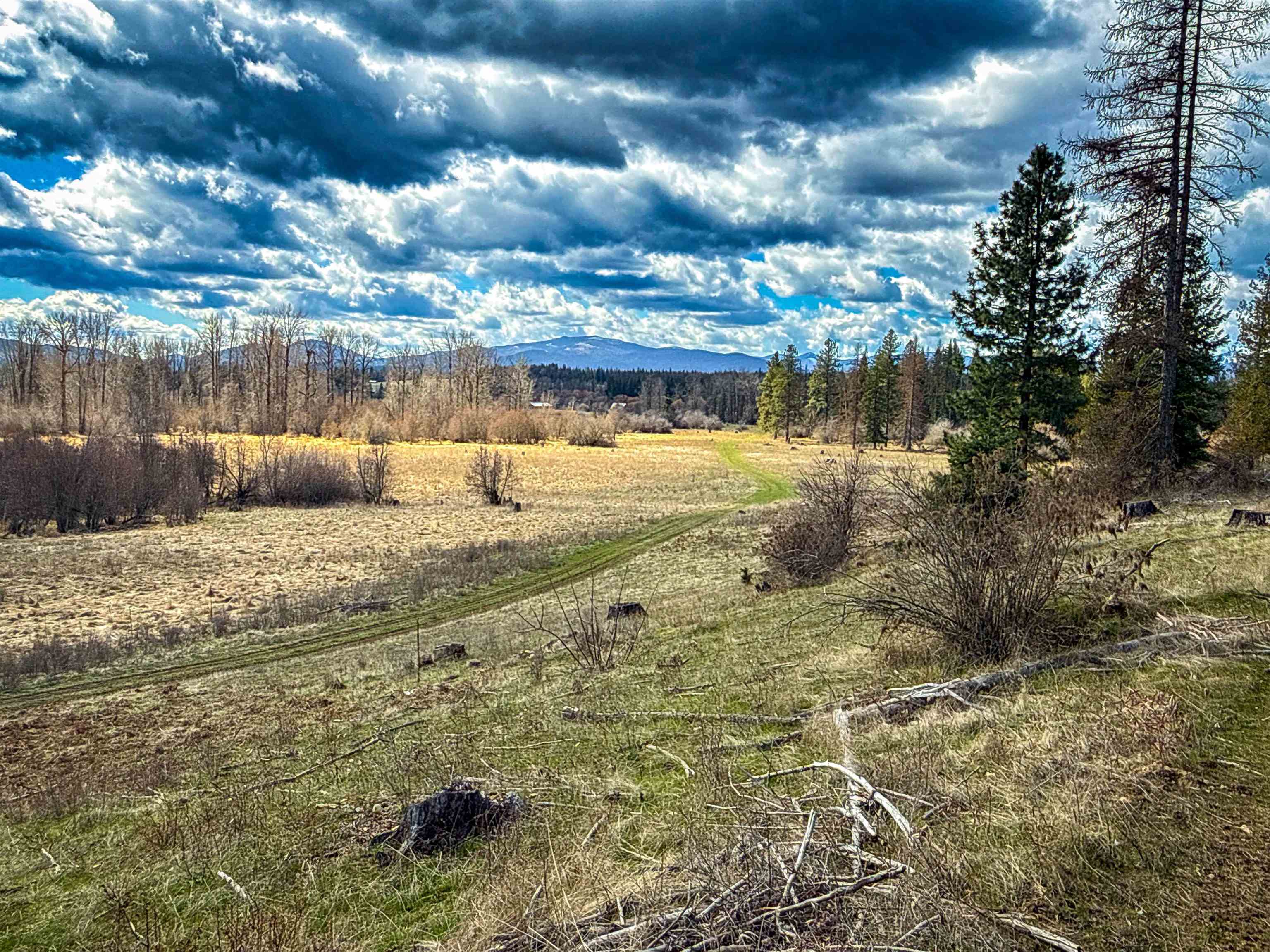 Nka Frissell Road Usk, WA 99180 - Photo 19 of 38