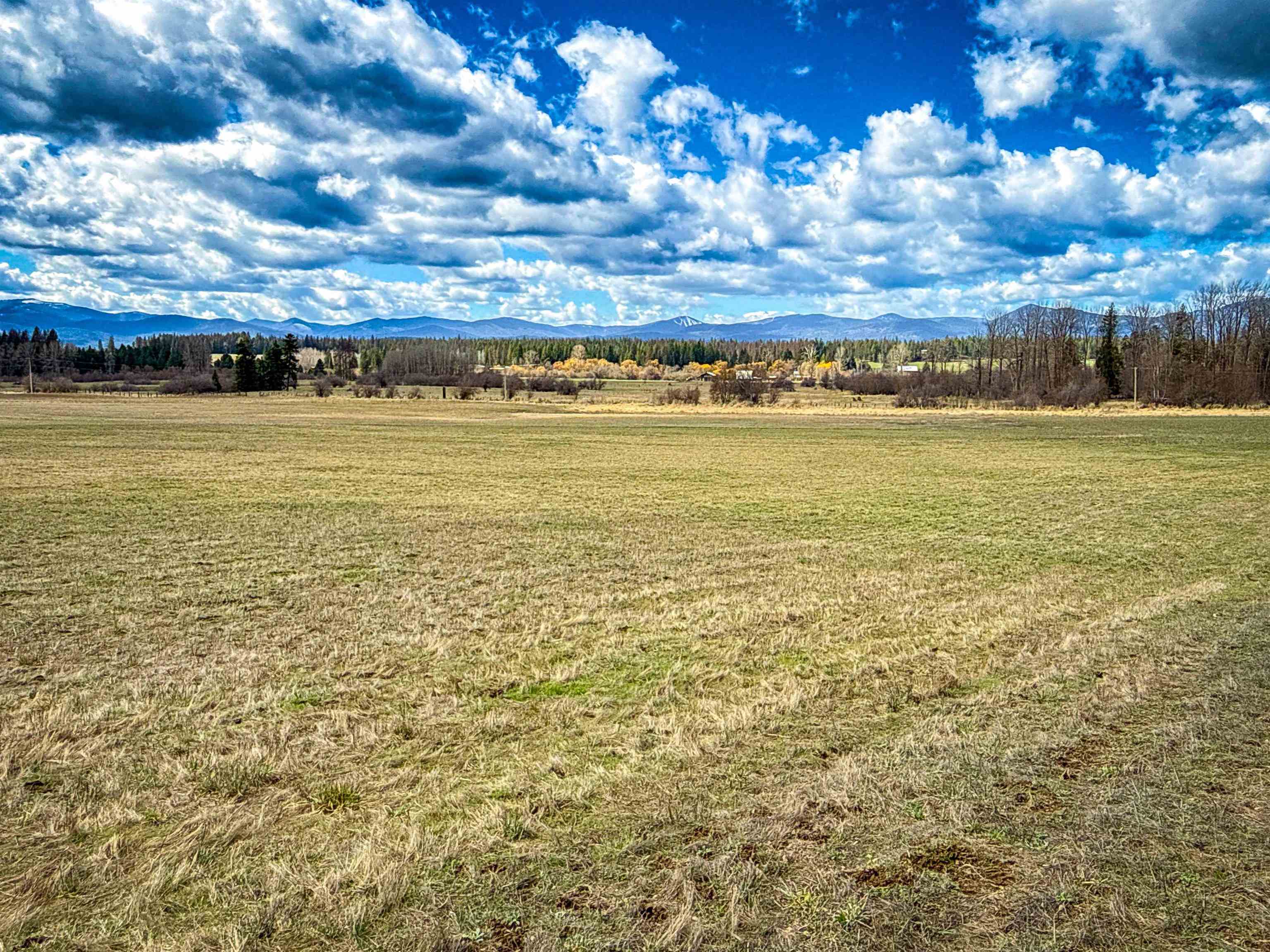 Nka Frissell Road Usk, WA 99180 - Photo 2 of 38