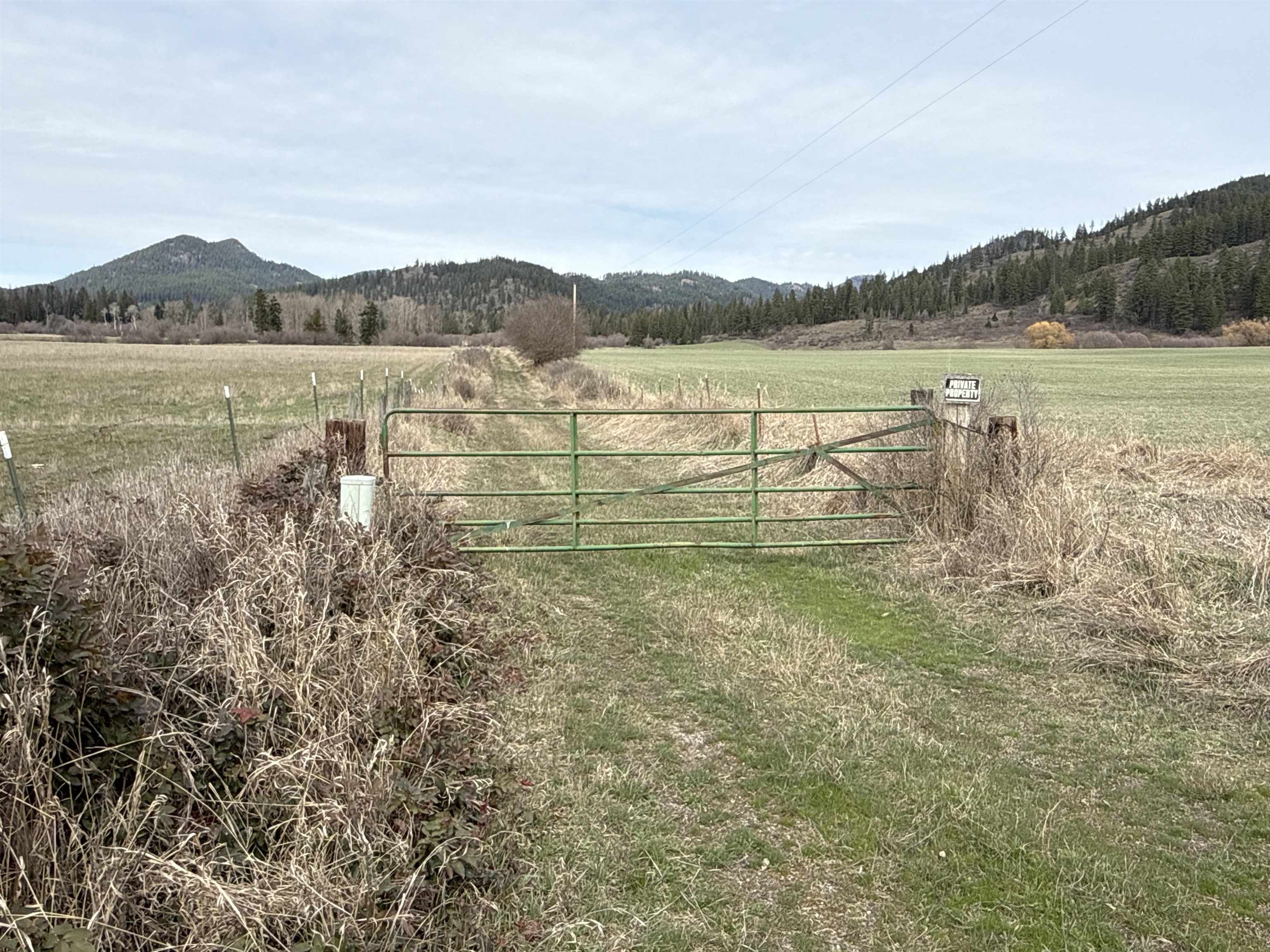 Nka Frissell Road Usk, WA 99180 - Photo 21 of 38