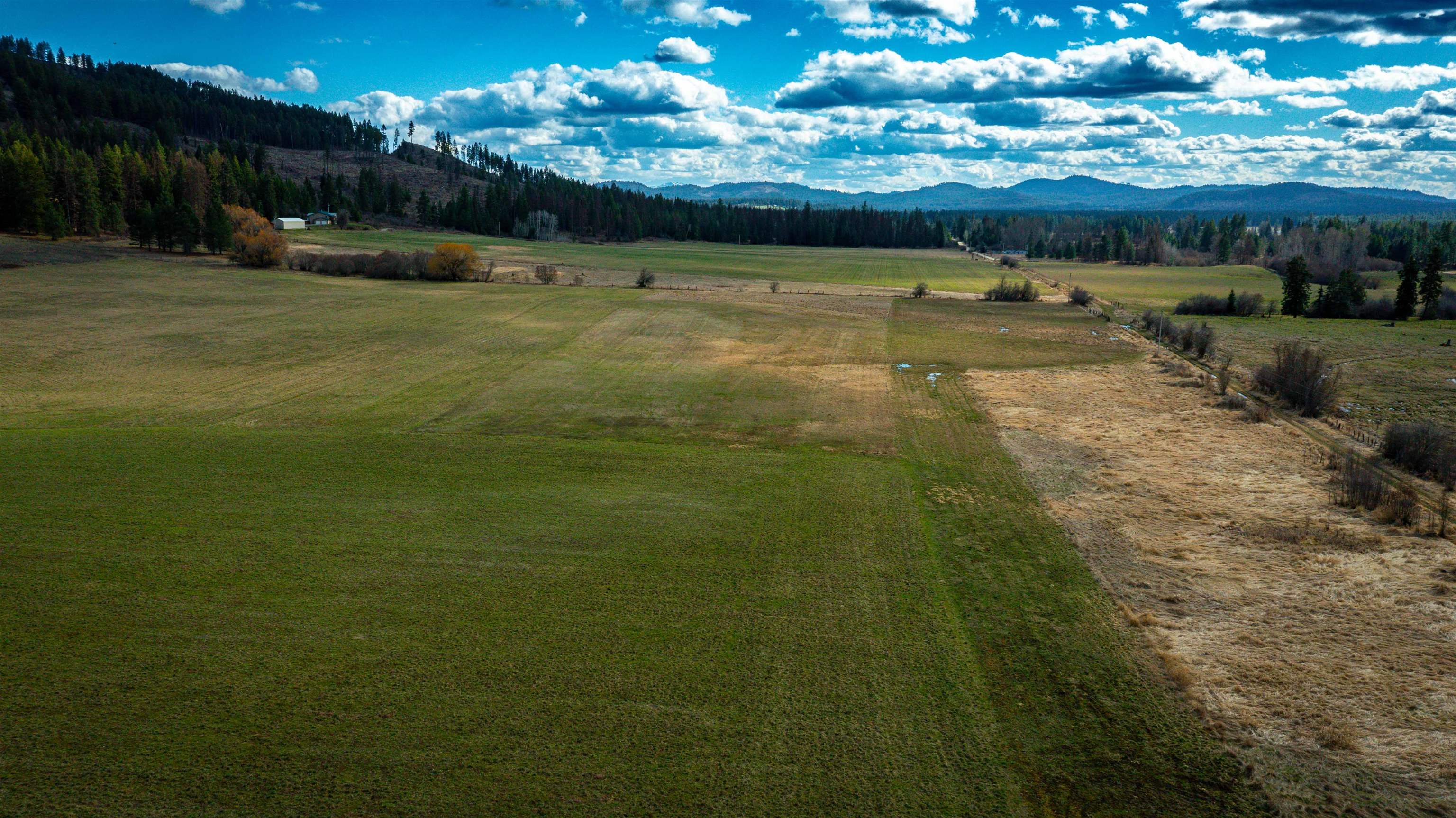 Nka Frissell Road Usk, WA 99180 - Photo 23 of 38