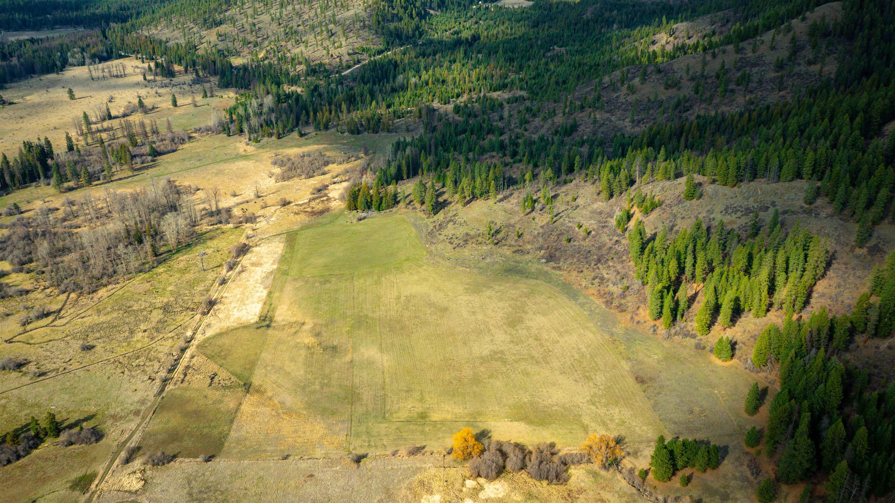 Nka Frissell Road Usk, WA 99180 - Photo 24 of 38