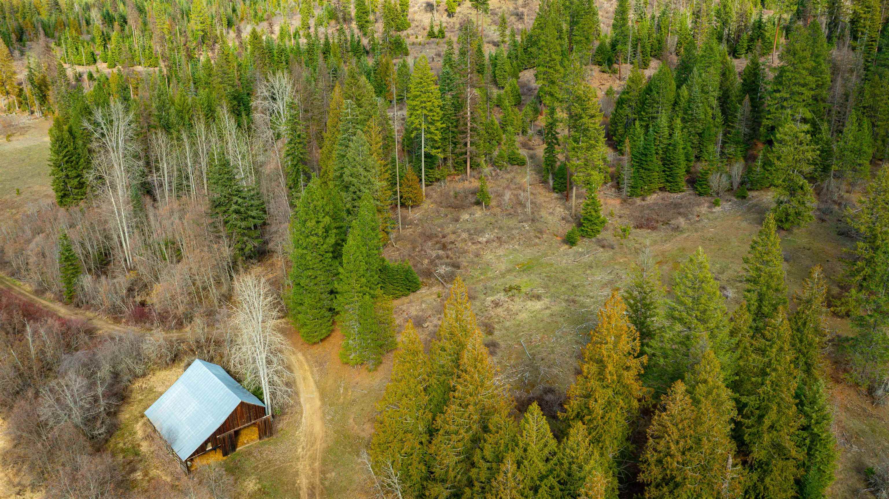 Nka Frissell Road Usk, WA 99180 - Photo 28 of 38