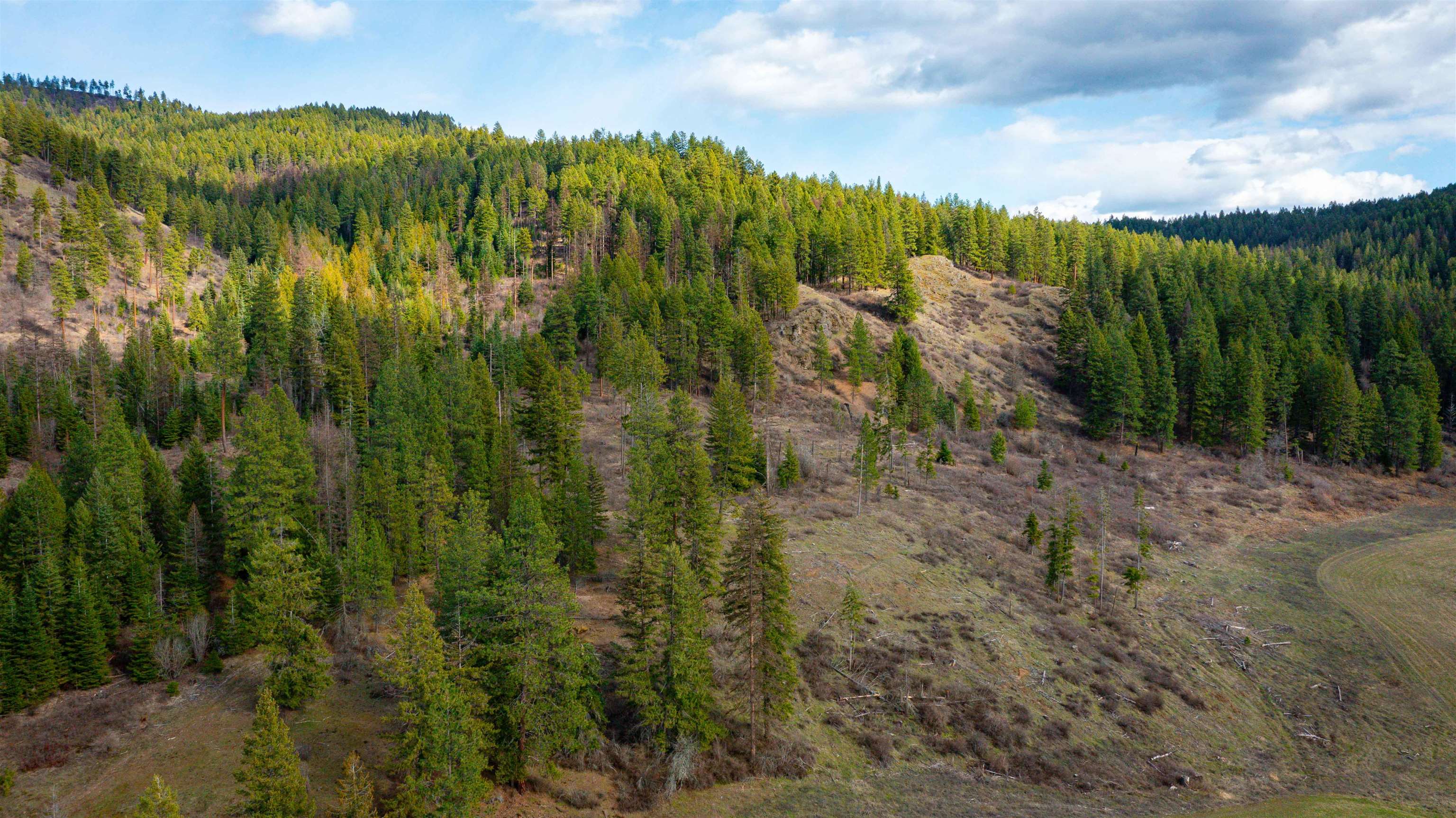 Nka Frissell Road Usk, WA 99180 - Photo 29 of 38