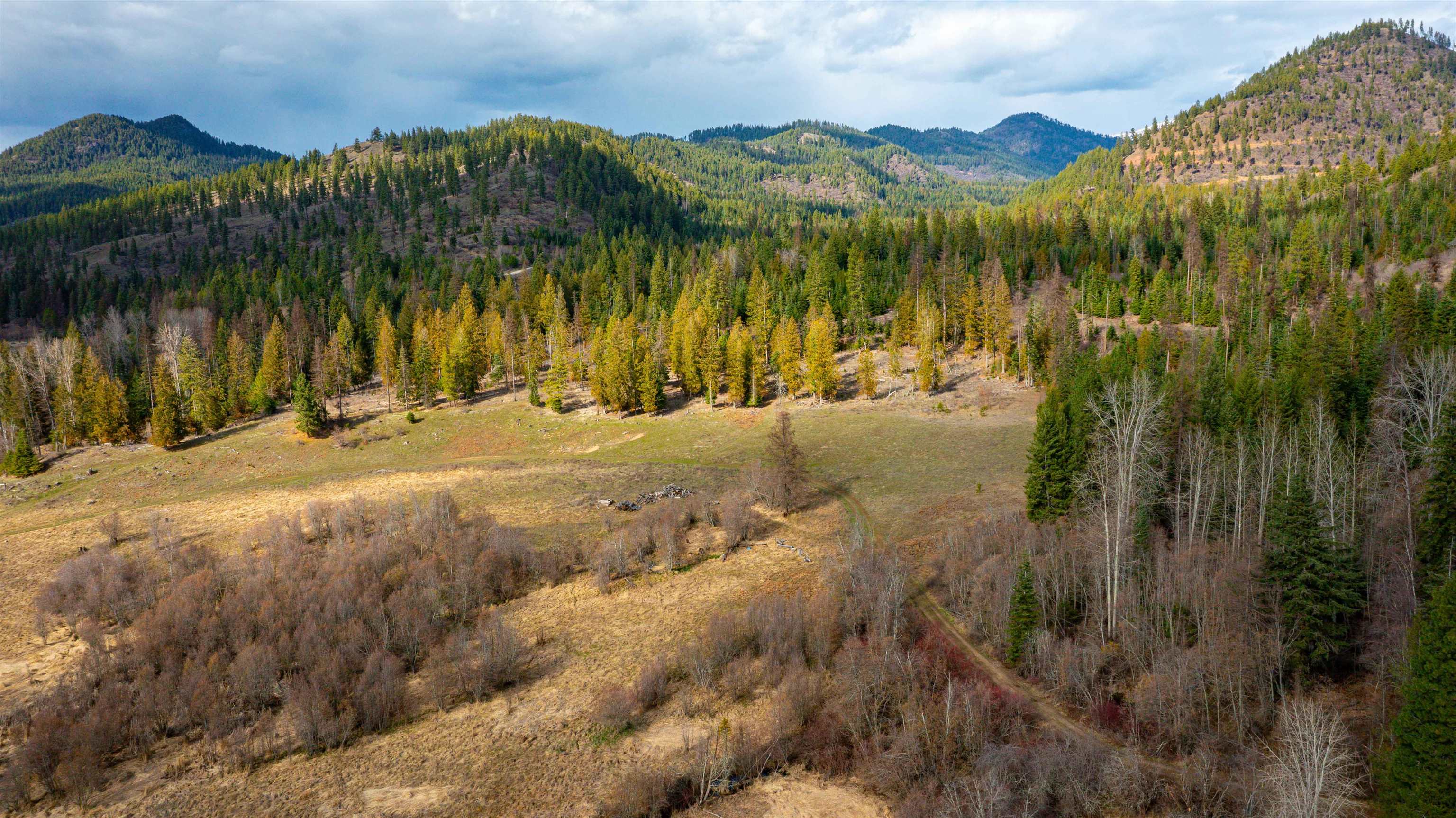 Nka Frissell Road Usk, WA 99180 - Photo 30 of 38