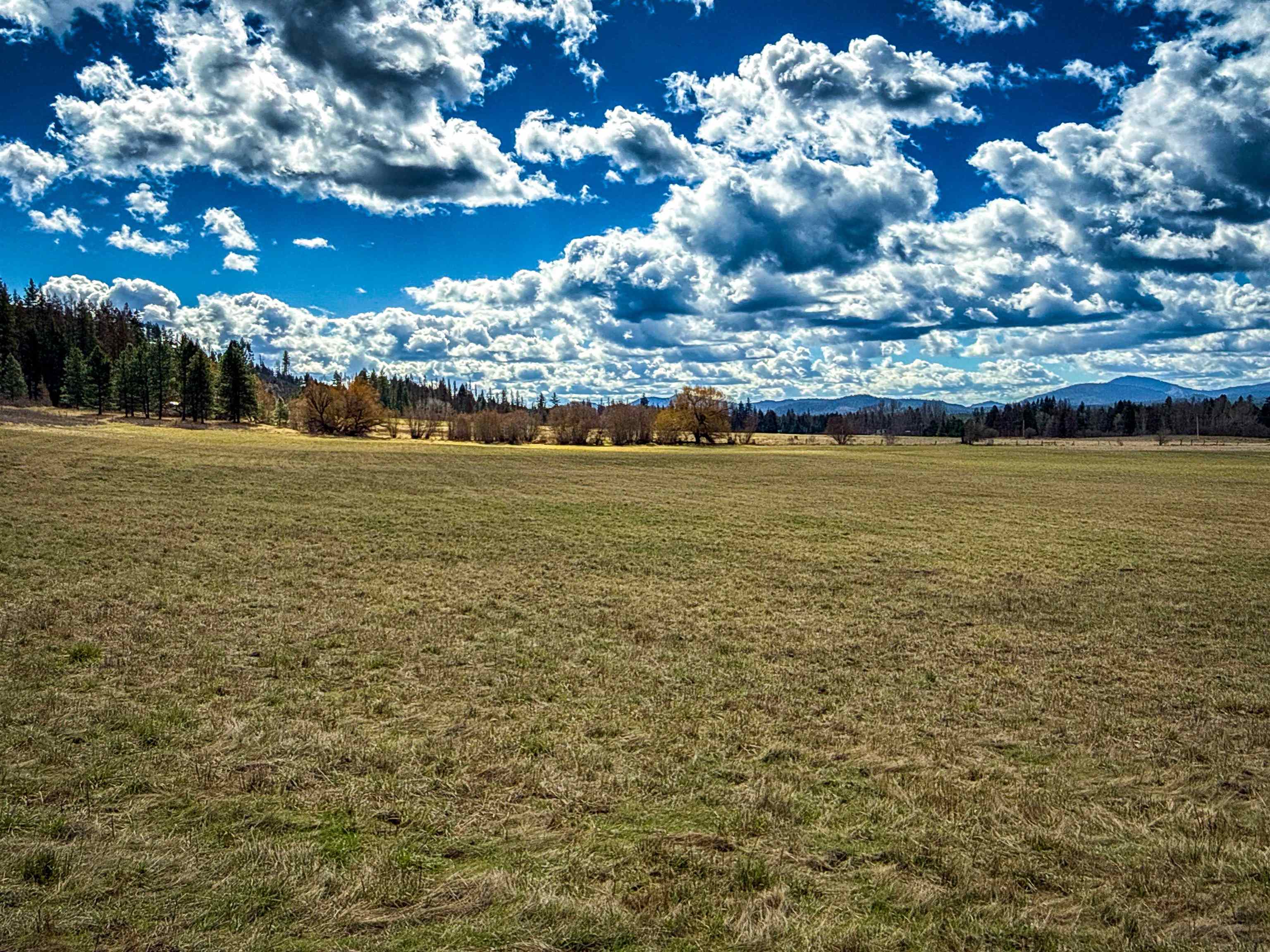 Nka Frissell Road Usk, WA 99180 - Photo 3 of 38