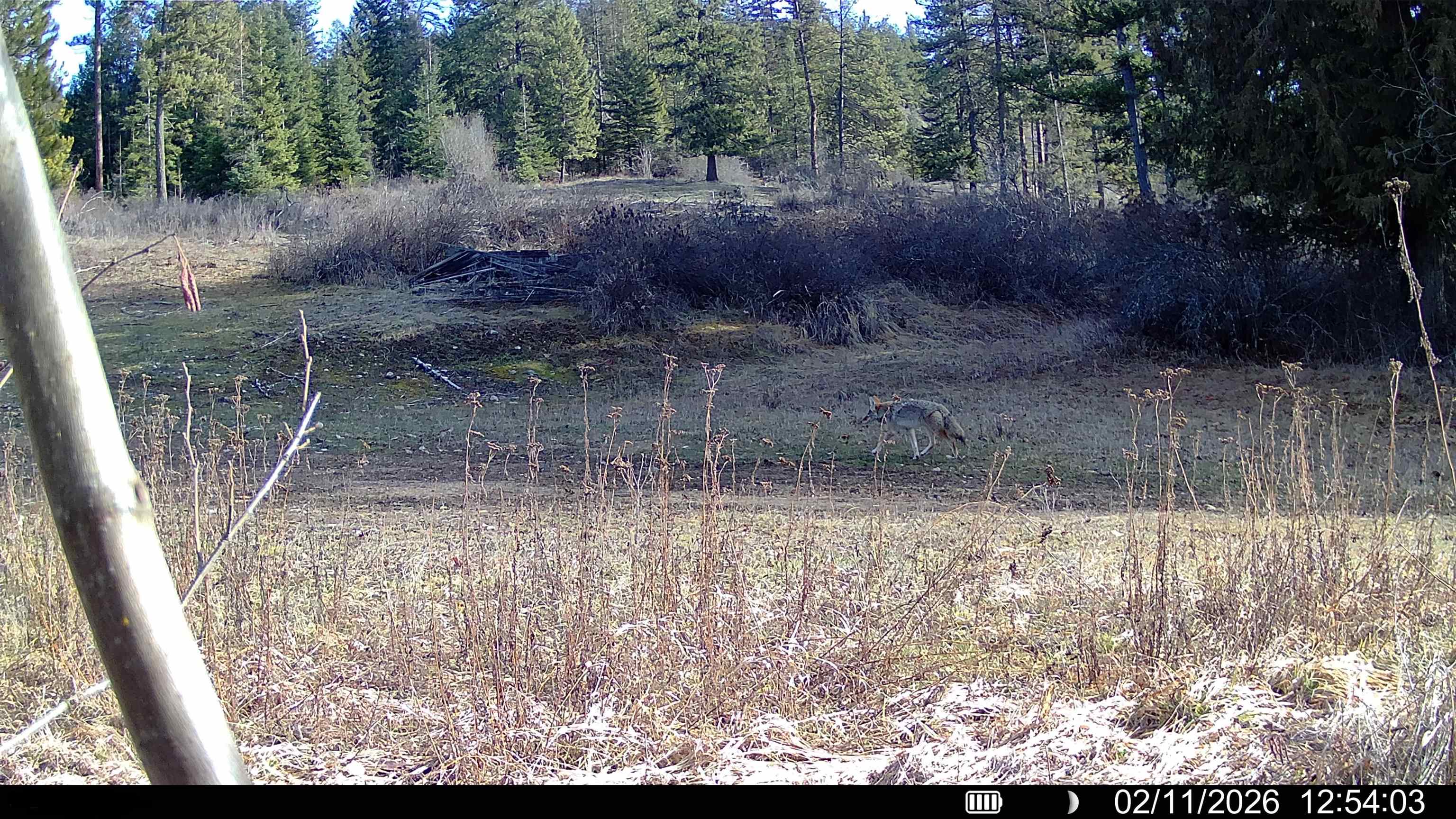 Nka Frissell Road Usk, WA 99180 - Photo 33 of 38