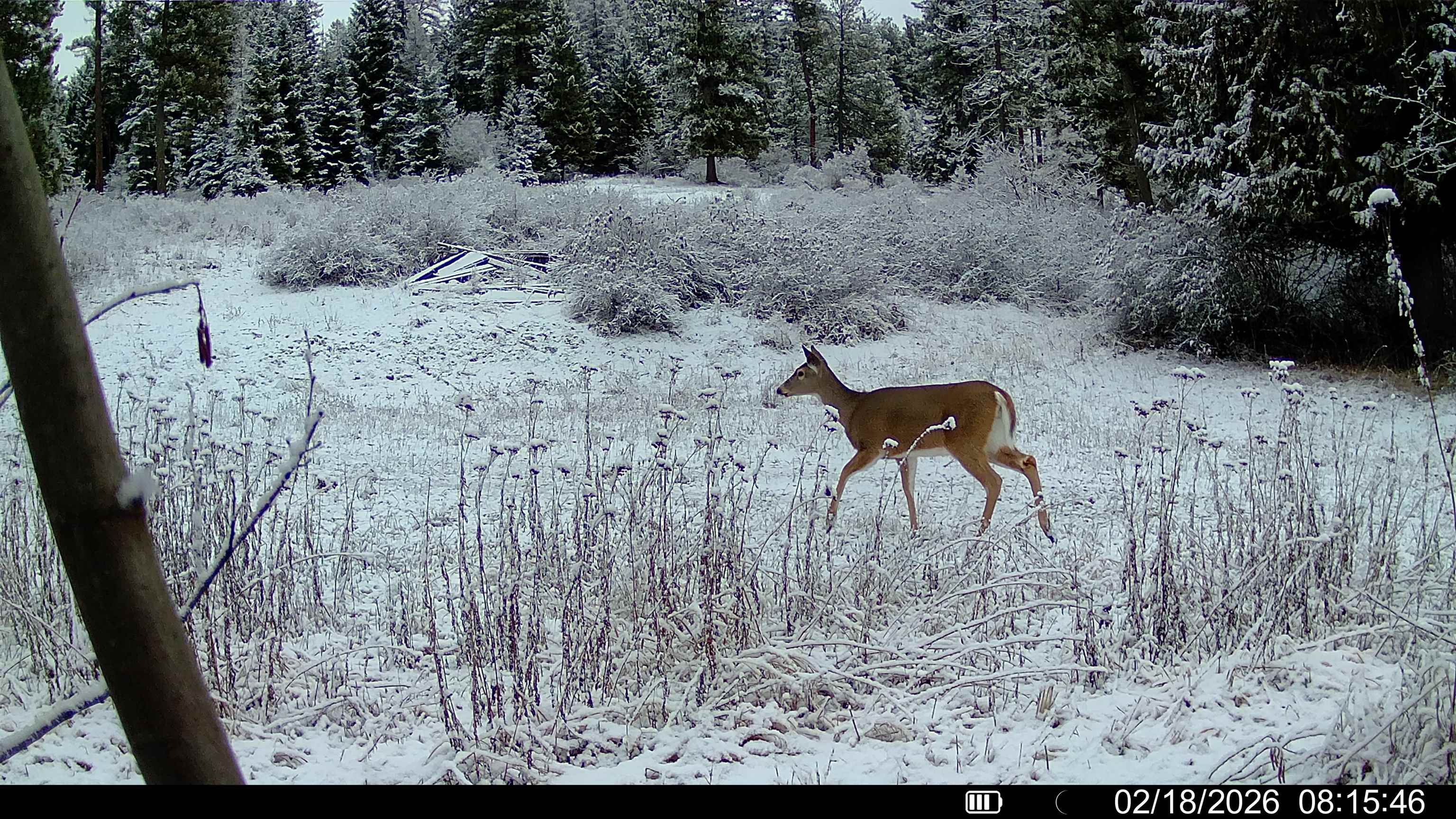 Nka Frissell Road Usk, WA 99180 - Photo 35 of 38