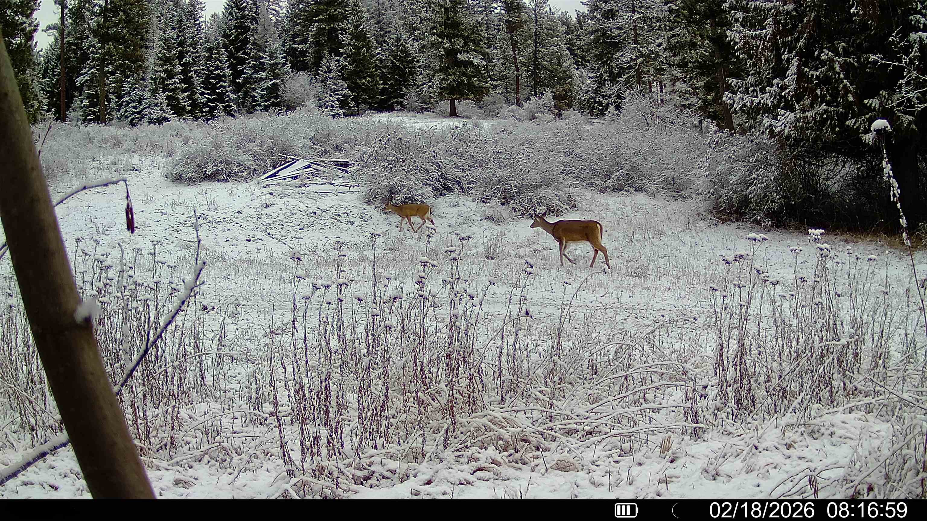 Nka Frissell Road Usk, WA 99180 - Photo 36 of 38