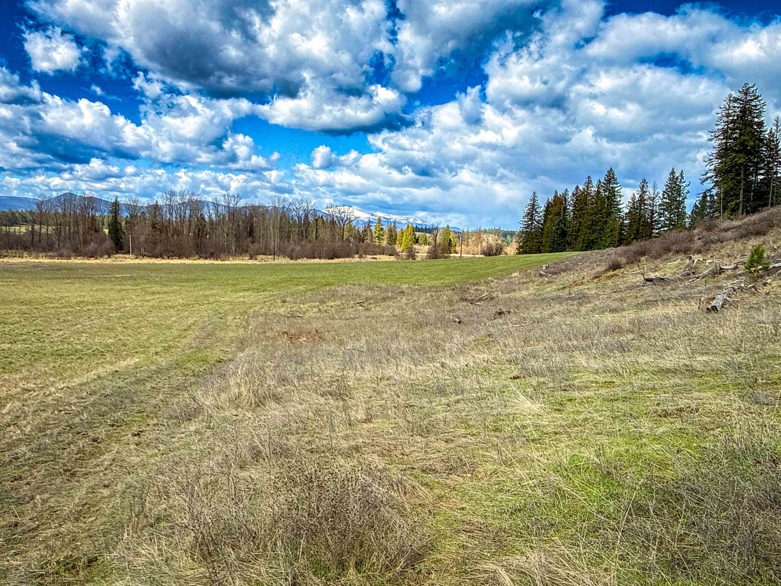 Nka Frissell Road Usk, WA 99180 - Photo 4 of 38