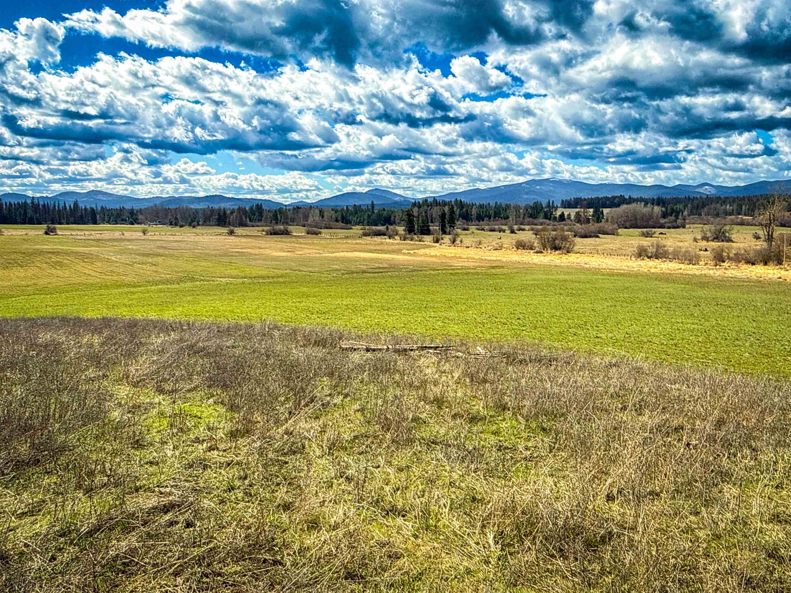 Nka Frissell Road Usk, WA 99180 - Photo 5 of 38