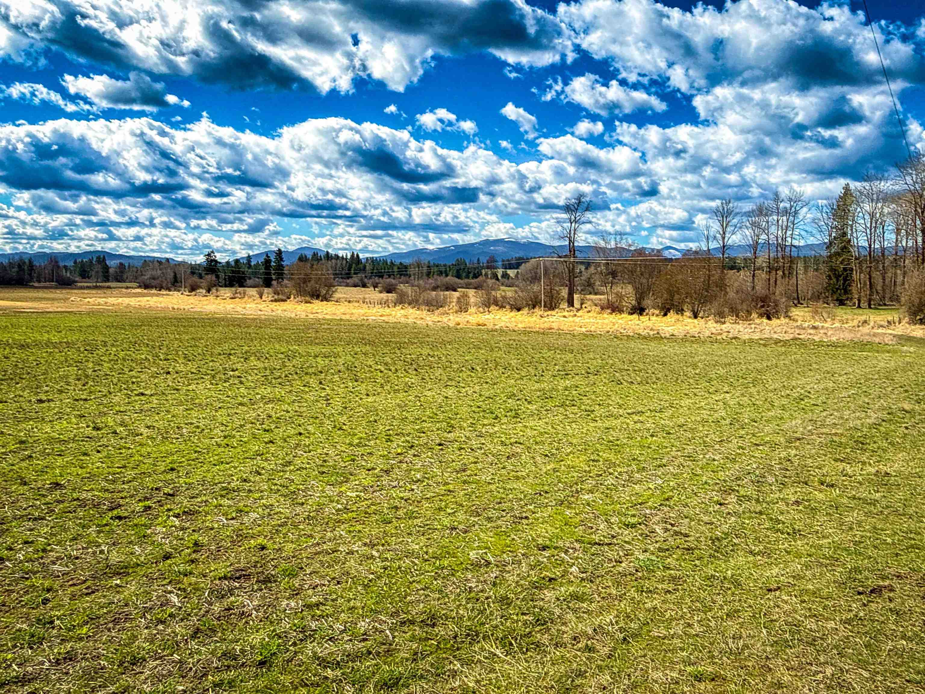 Nka Frissell Road Usk, WA 99180 - Photo 7 of 38