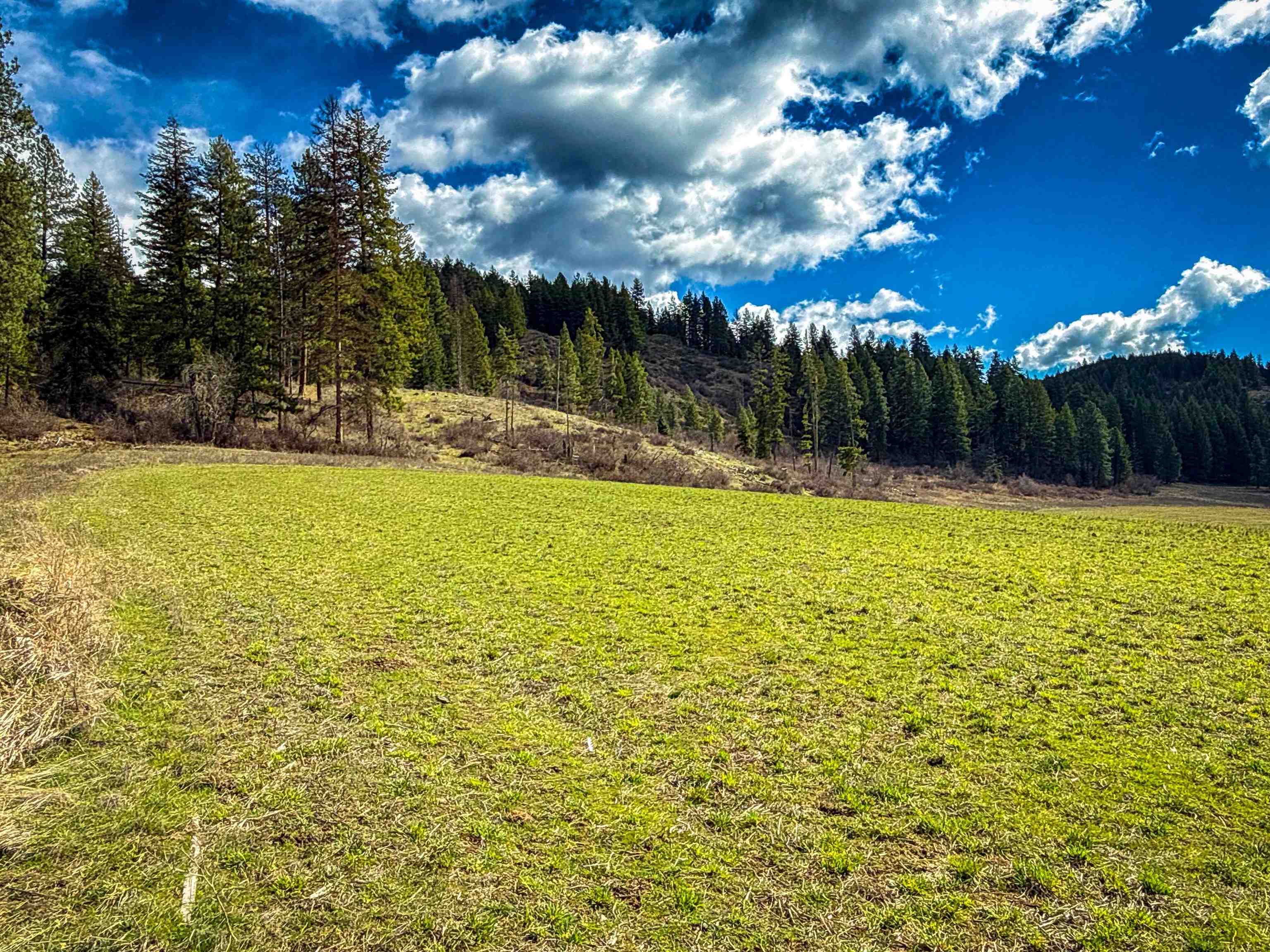 Nka Frissell Road Usk, WA 99180 - Photo 8 of 38