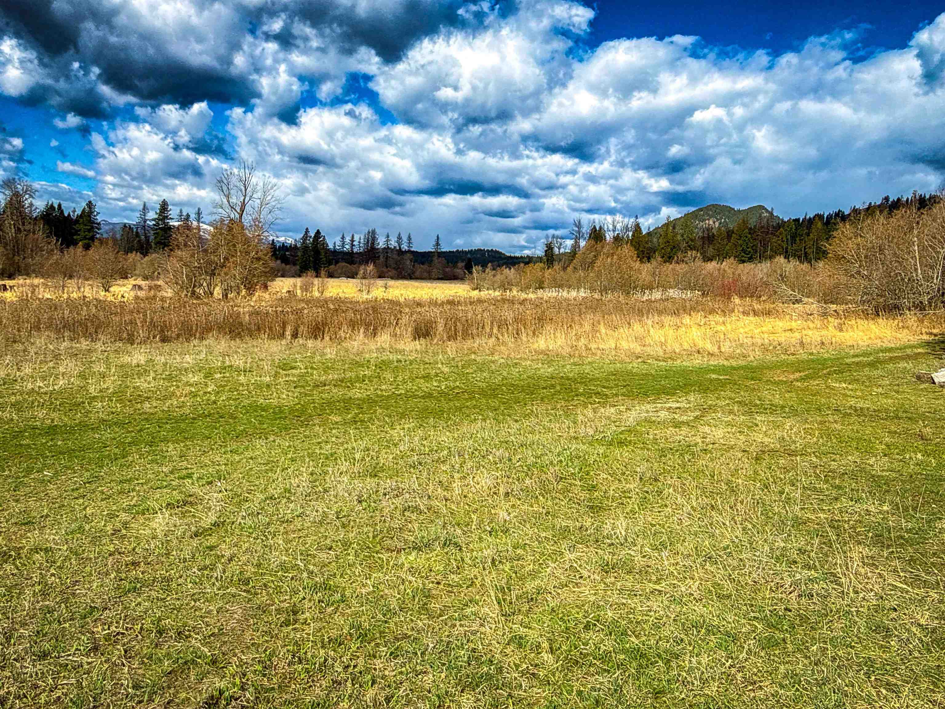 Nka Frissell Road Usk, WA 99180 - Photo 9 of 38