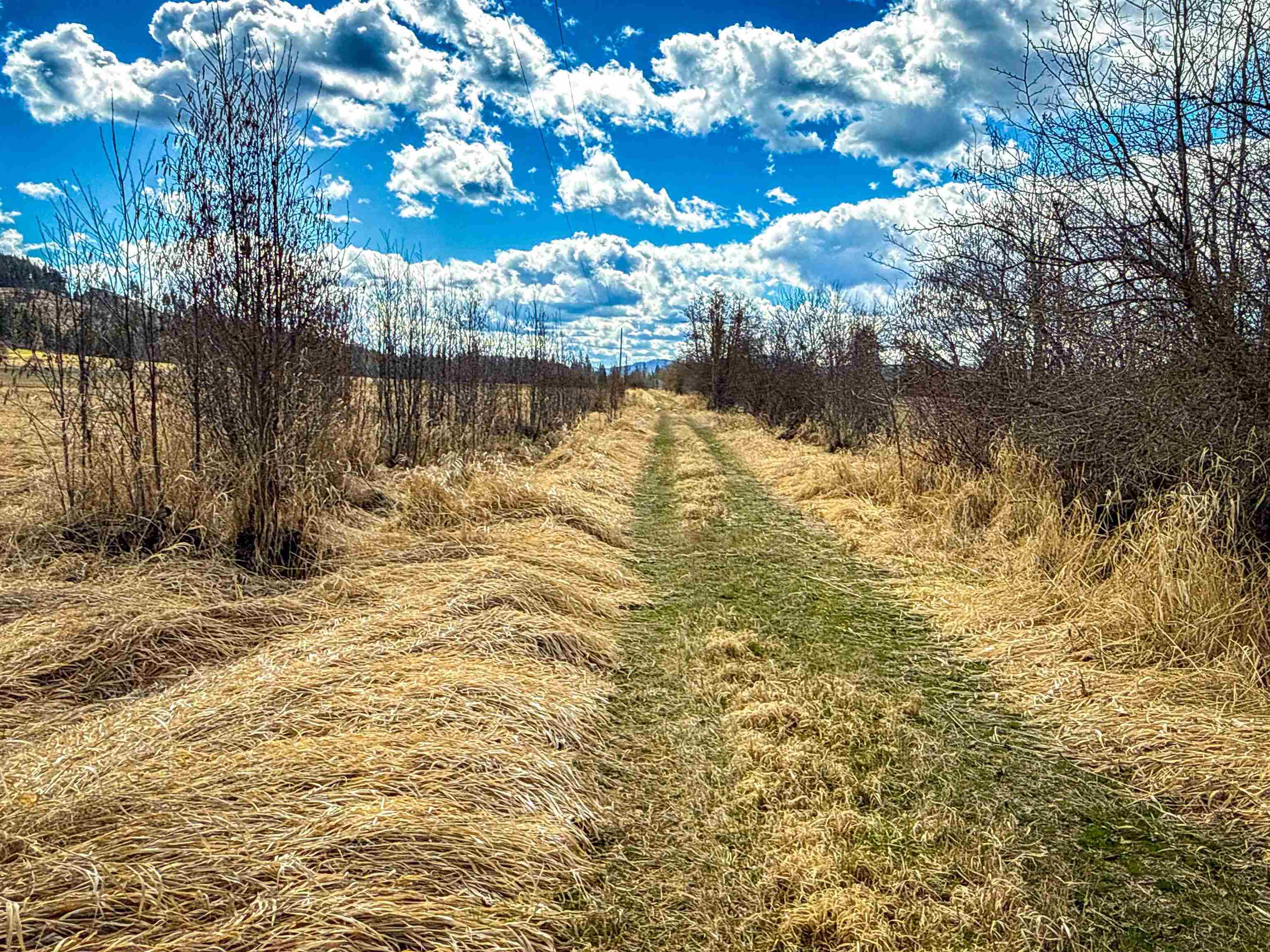 Nka Frissell Road Usk, WA 99180 - Photo 10 of 38