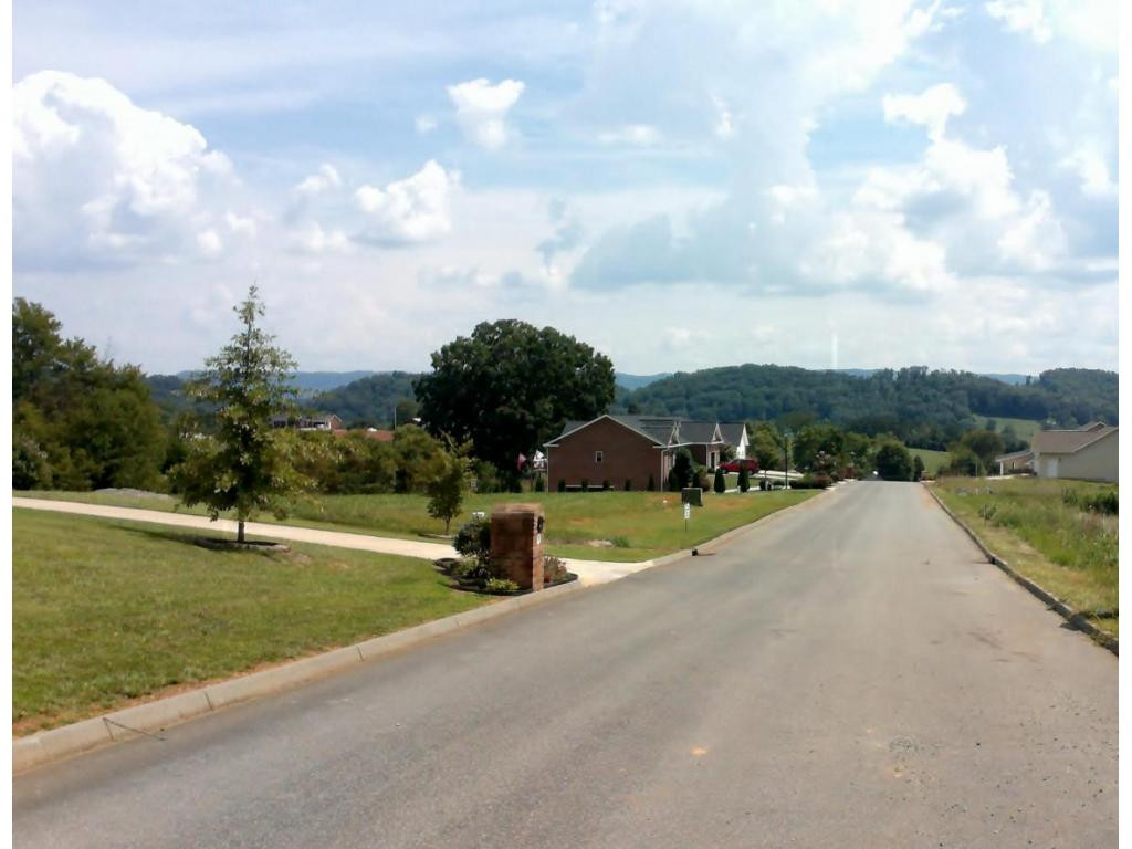 151 Fox Ridge Drive Mount Carmel, TN 37645 - Photo 2 of 24 Street Scene