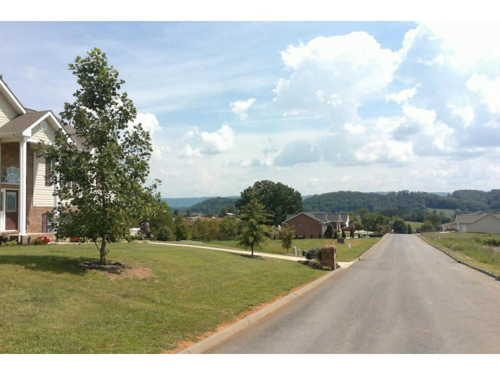 151 Fox Ridge Drive Mount Carmel, TN 37645 - Photo 3 of 24 Great Mountain Views