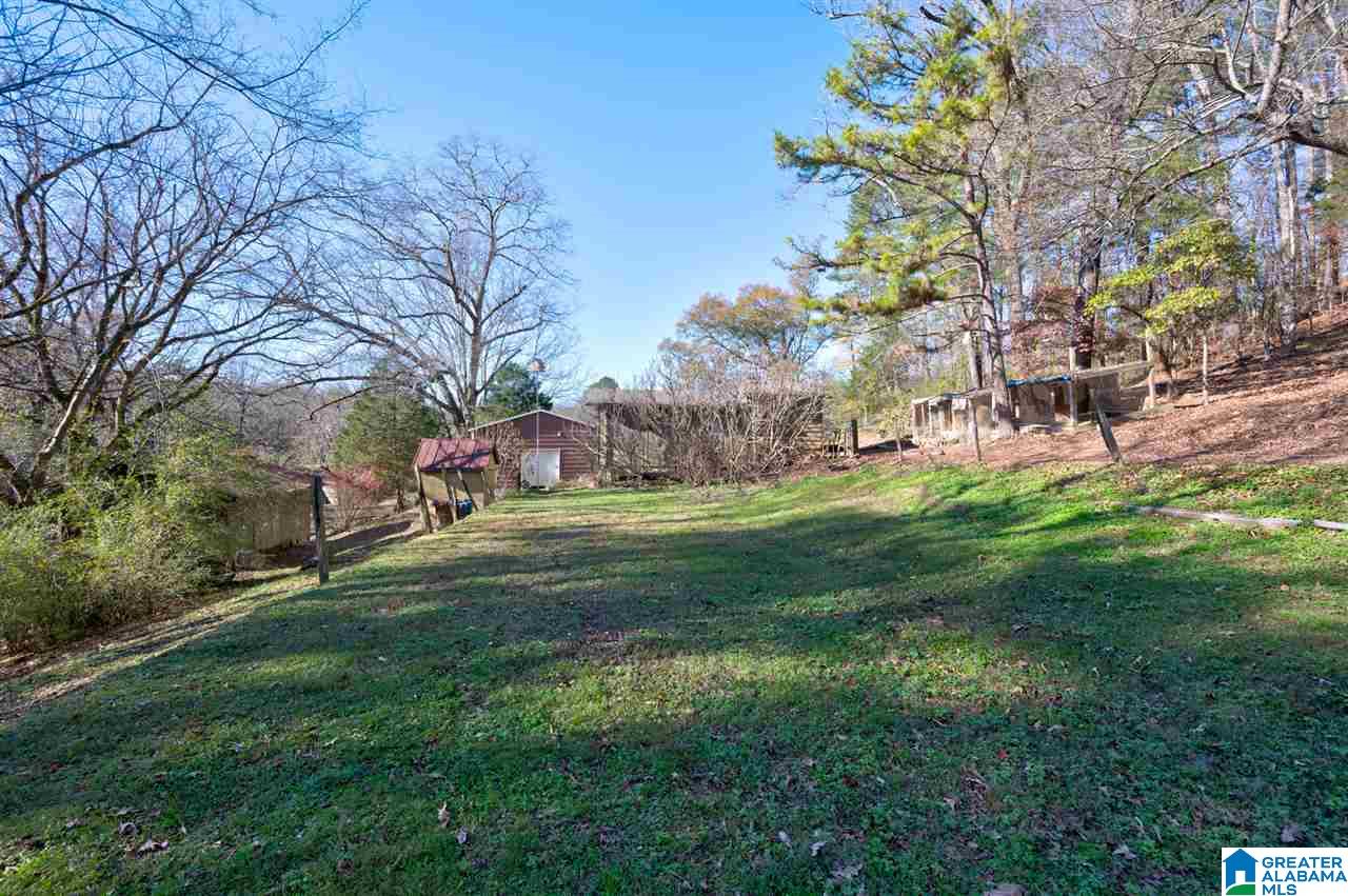 7235 Comer Dairy Road Morris, AL 35116 - Photo 8 of 37