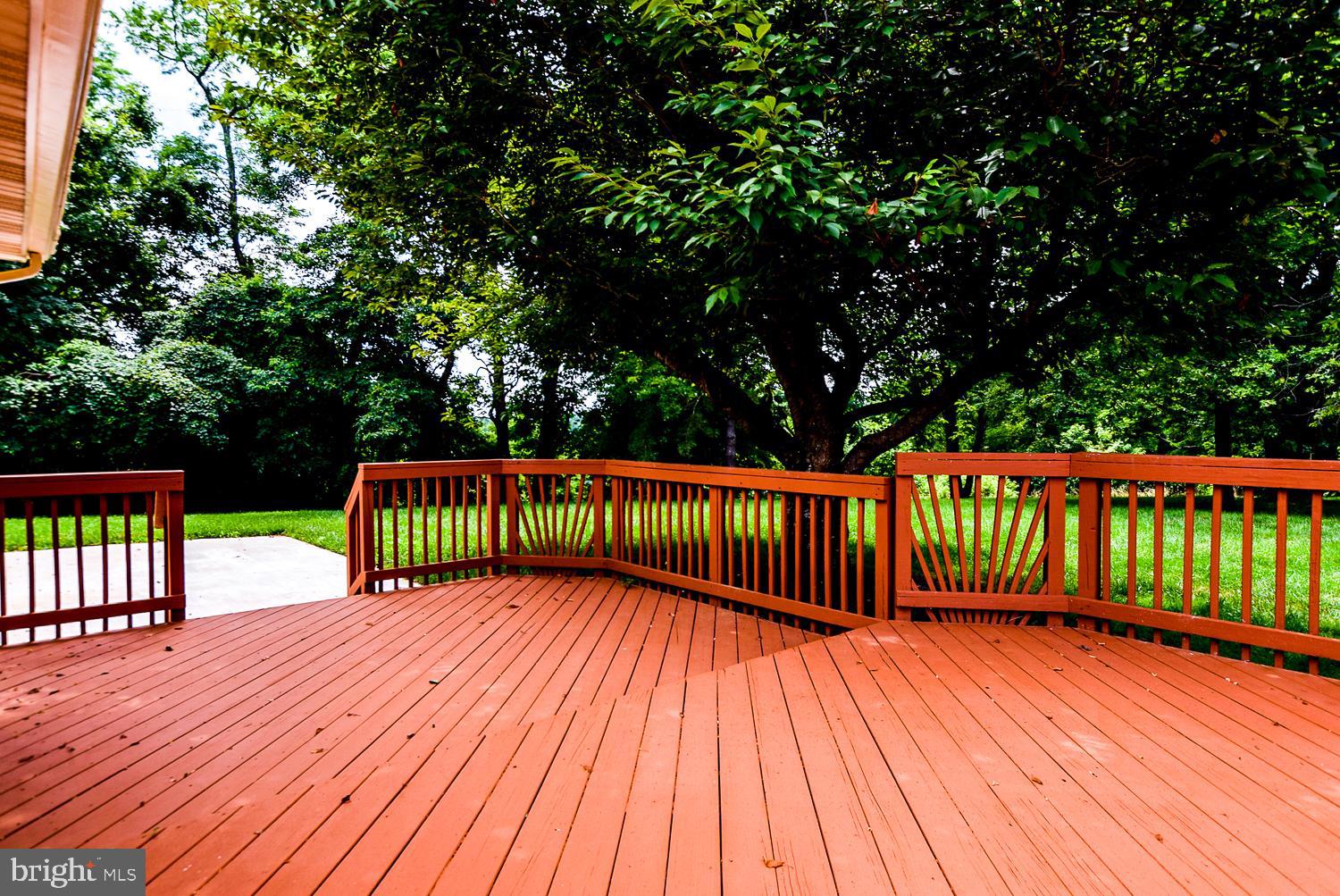 1602 Sundew Court Bowie, MD 20721 - Photo 4 of 58
