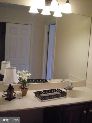 1232 Pine Hill Road McLean, VA 22101 - Photo 18 of 23 Master Bath #2