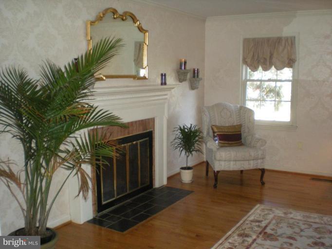 1232 Pine Hill Road McLean, VA 22101 - Photo 22 of 23 living/main floor fireplace