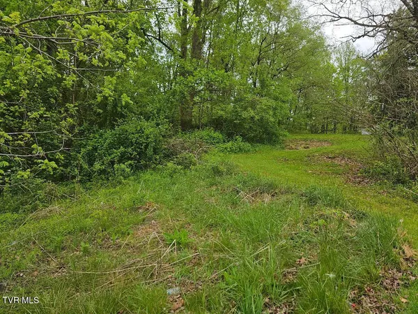 $24,750 | 0 Park Avenue Northeast, Norton, VA 24273