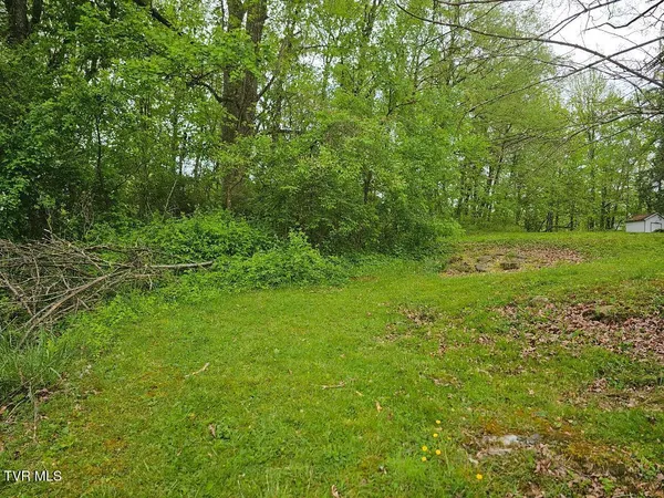 $24,750 | 0 Park Avenue Northeast, Norton, VA 24273