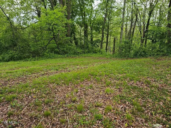 $24,750 | 0 Park Avenue Northeast, Norton, VA 24273