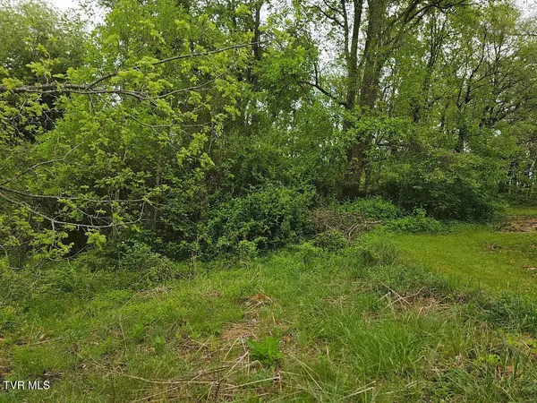 $24,750 | 0 Park Avenue Northeast, Norton, VA 24273