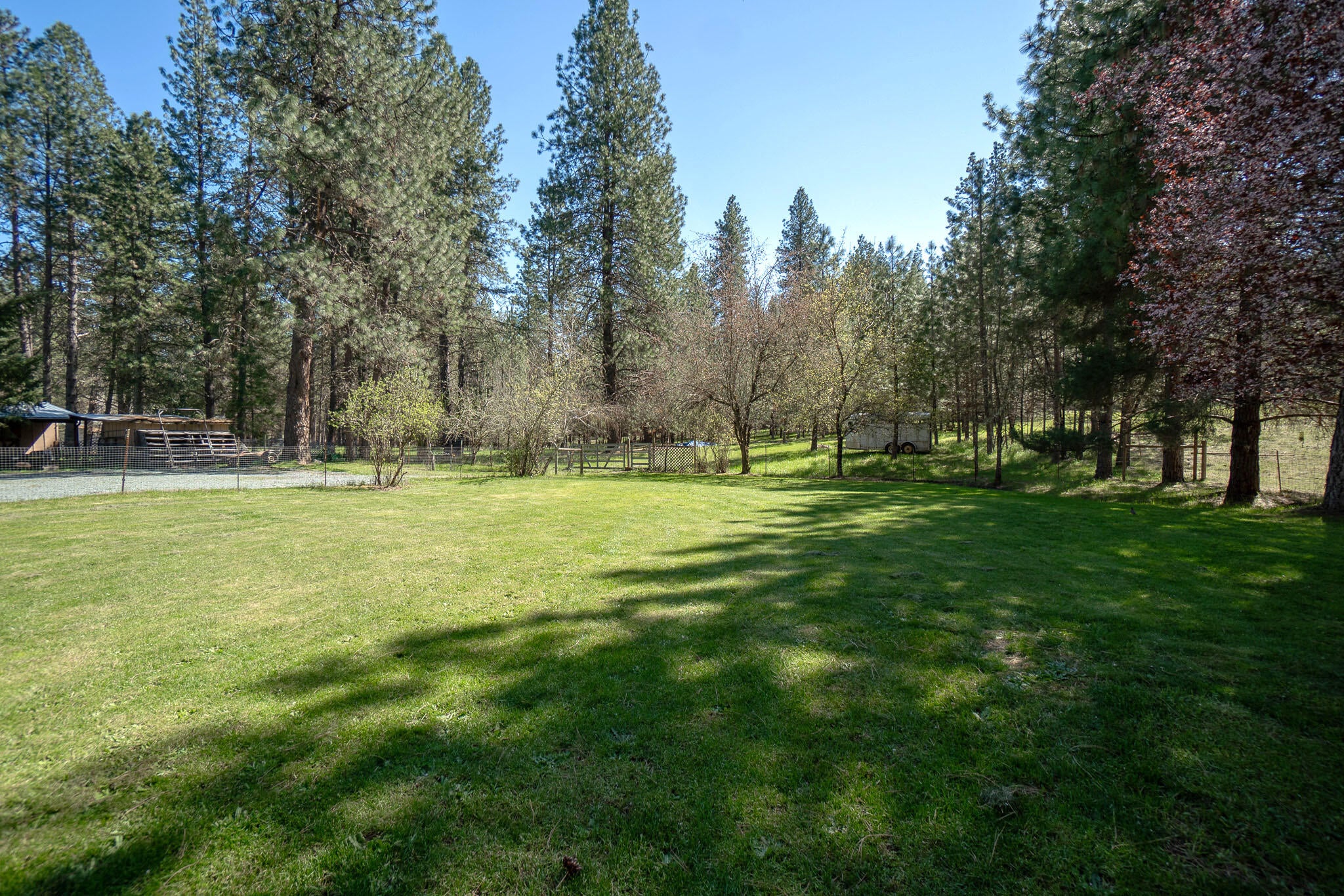 1035 Minthorne Road Rogue River, OR 97537 - Photo 32 of 41 Pasture1_DSC03992-HDR