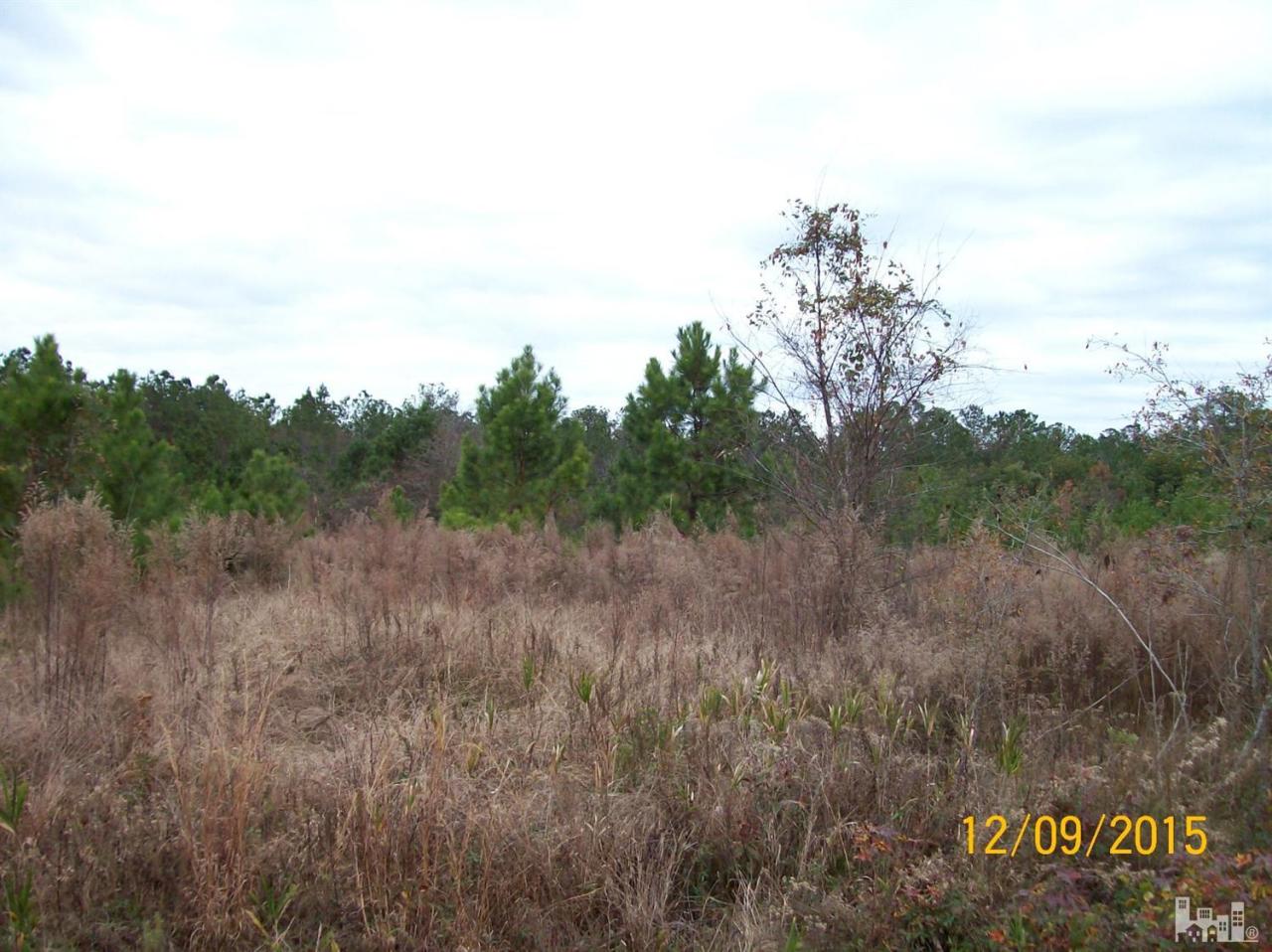 2 K Bryan Road Magnolia, NC 28453 - Photo 1 of 2 Primary Photo