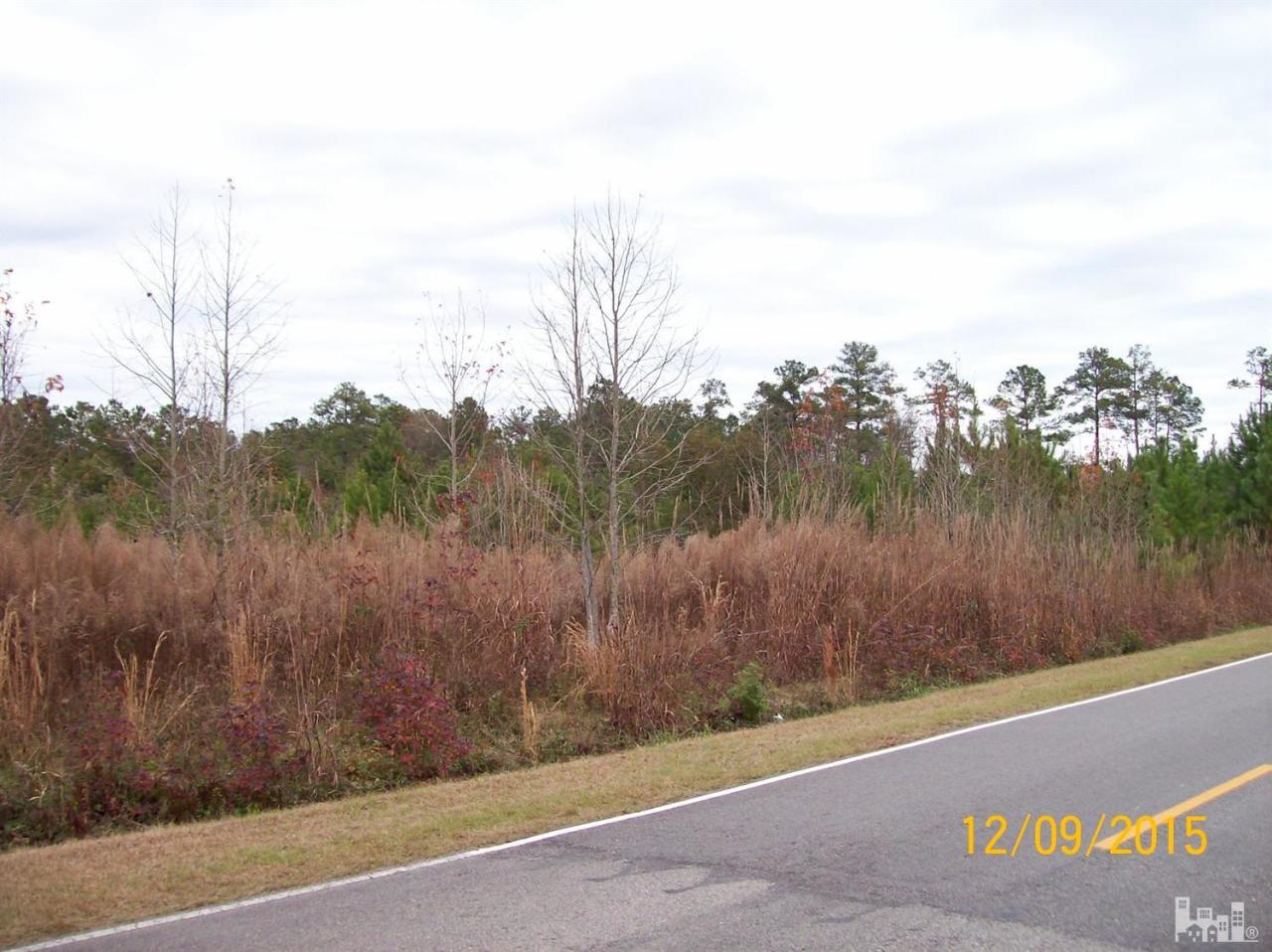 2 K Bryan Road Magnolia, NC 28453 - Photo 2 of 2 Additional Photo
