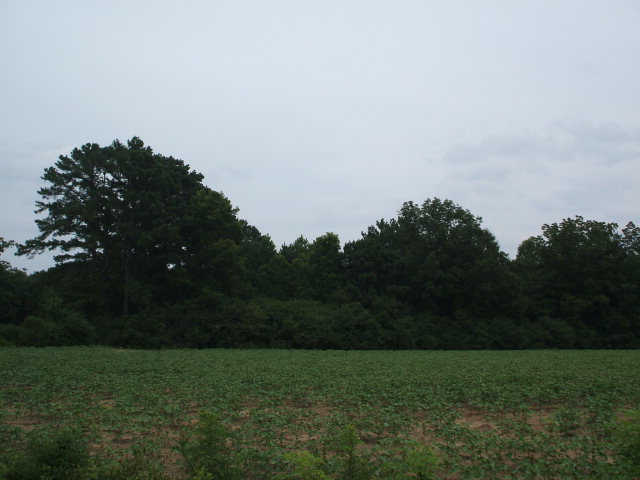 0 Ewell Road Slocomb, AL 36375 - Photo 1 of 1