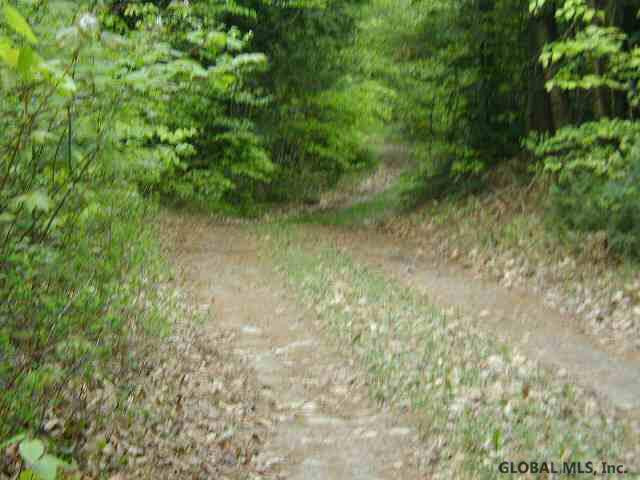 Viele Pond Road Warrensburg, NY 12885 - Photo 1 of 1 Photo 1