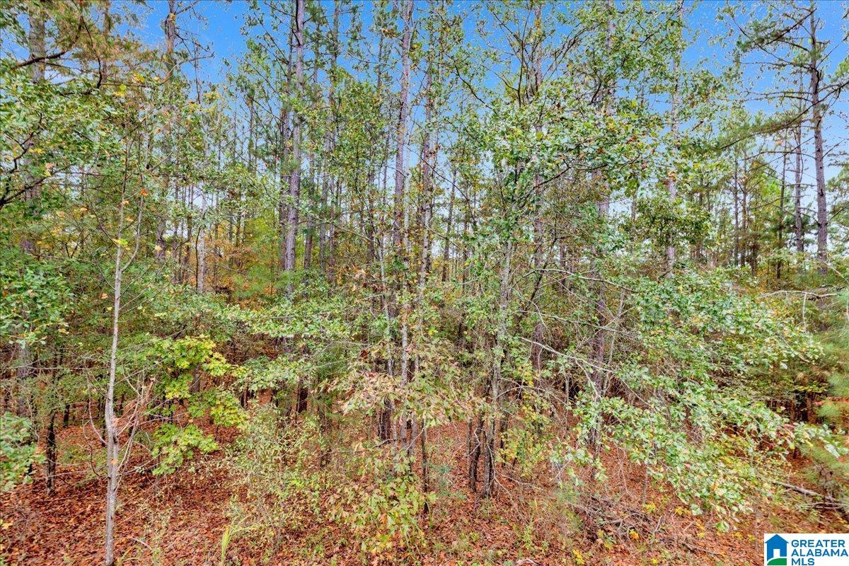 370 Waites Road Talladega, AL 35160 - Photo 60 of 75