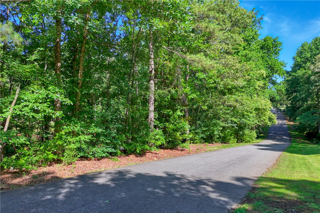 1020 Green Willow Trail Anderson, SC 29621 - Photo 2 of 28 A tranquil, tree-lined road winds through a lush, verdant landscape.