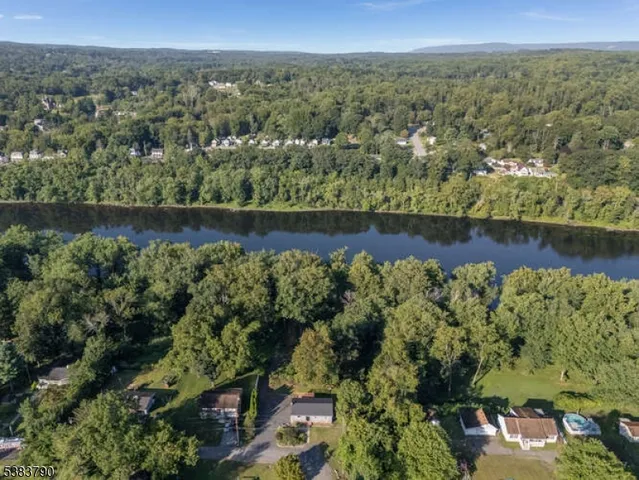a view of a tree in a yard