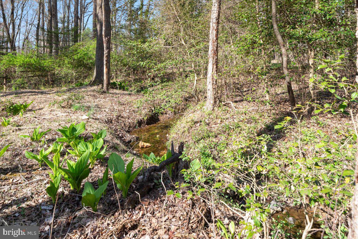 532 Walker Road Great Falls, VA 22066 - Photo 87 of 108